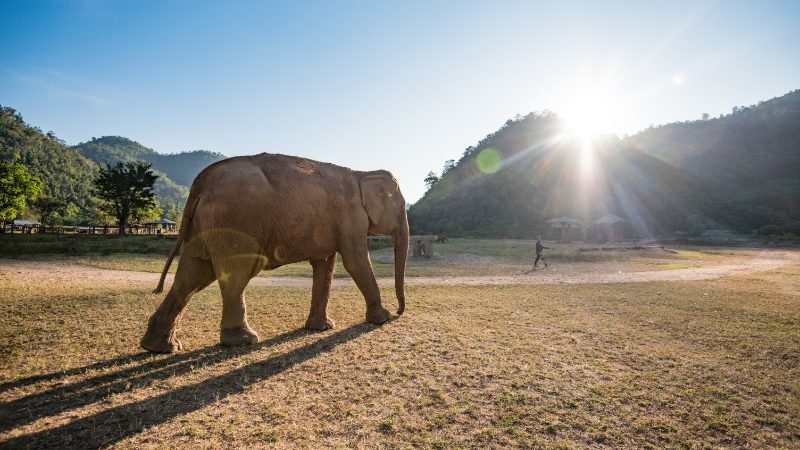 Photo credit : Intrepid Travel