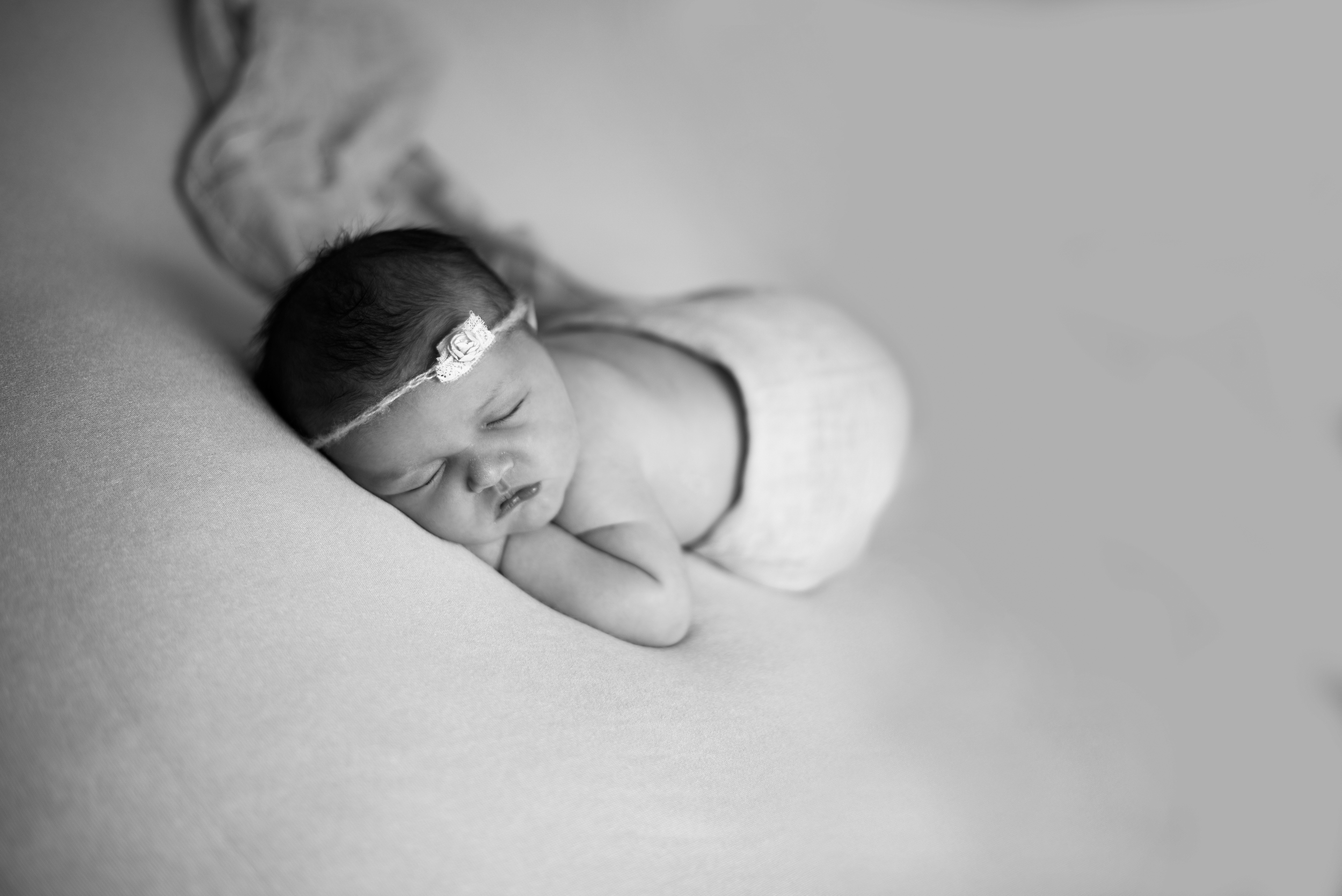 DSC_3103a.jpg