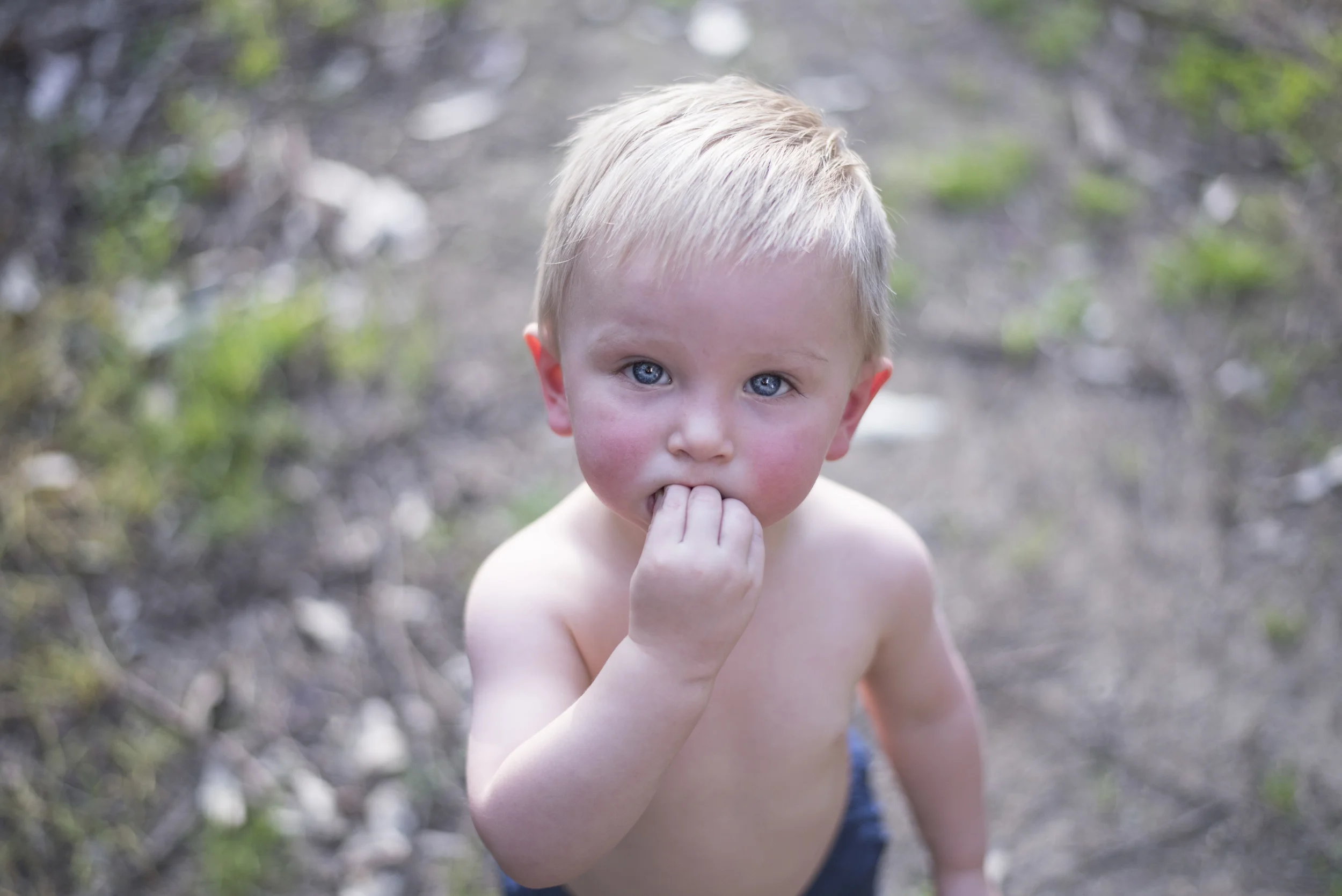DSC_3358a.jpg