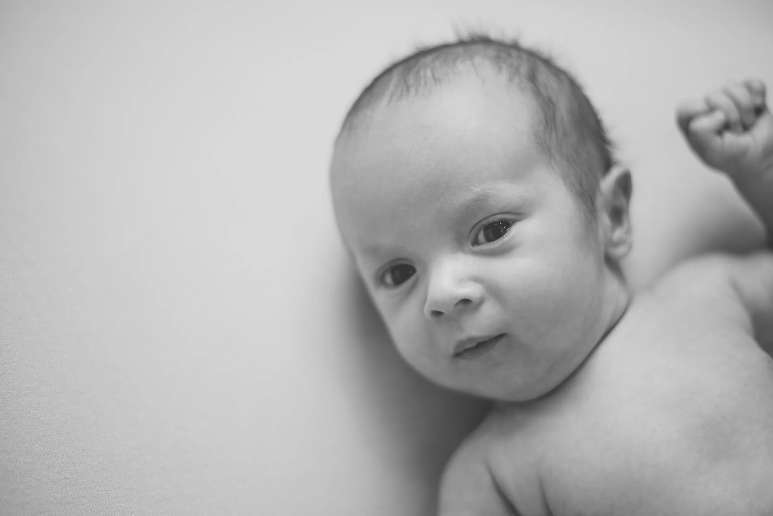 DSC_6305a.jpg