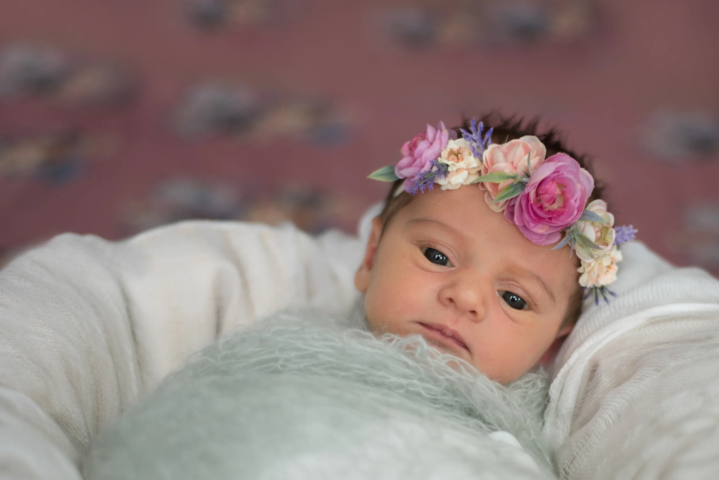 DSC_9203a.jpg