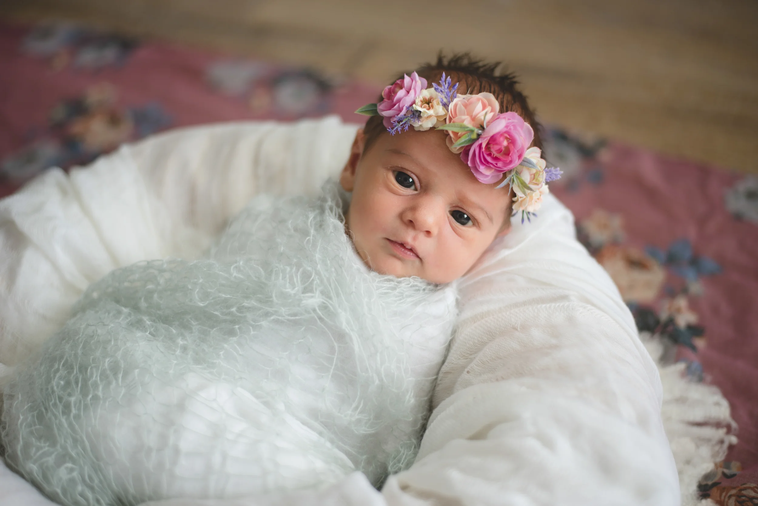 DSC_9234a.jpg