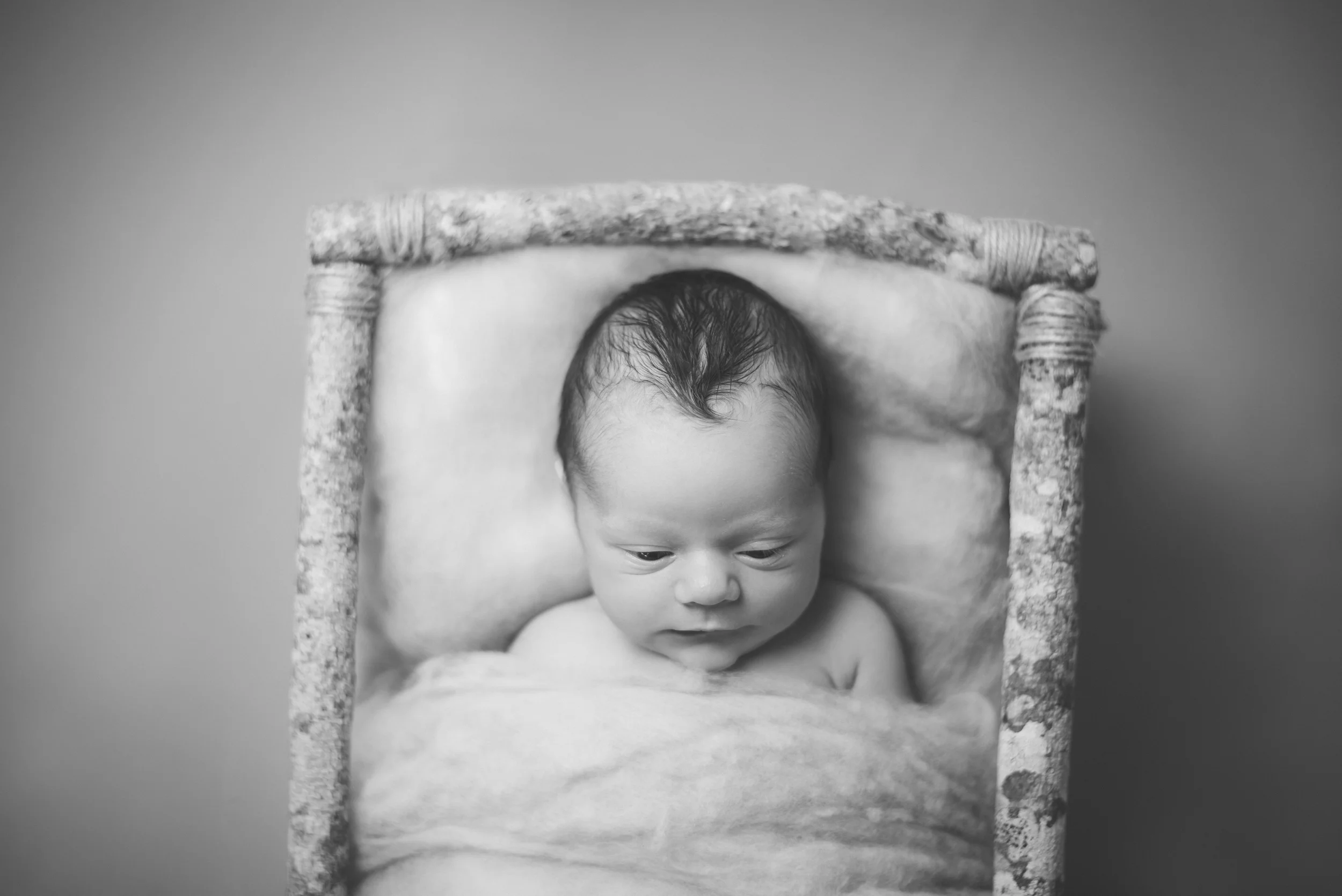 DSC_6648a.jpg