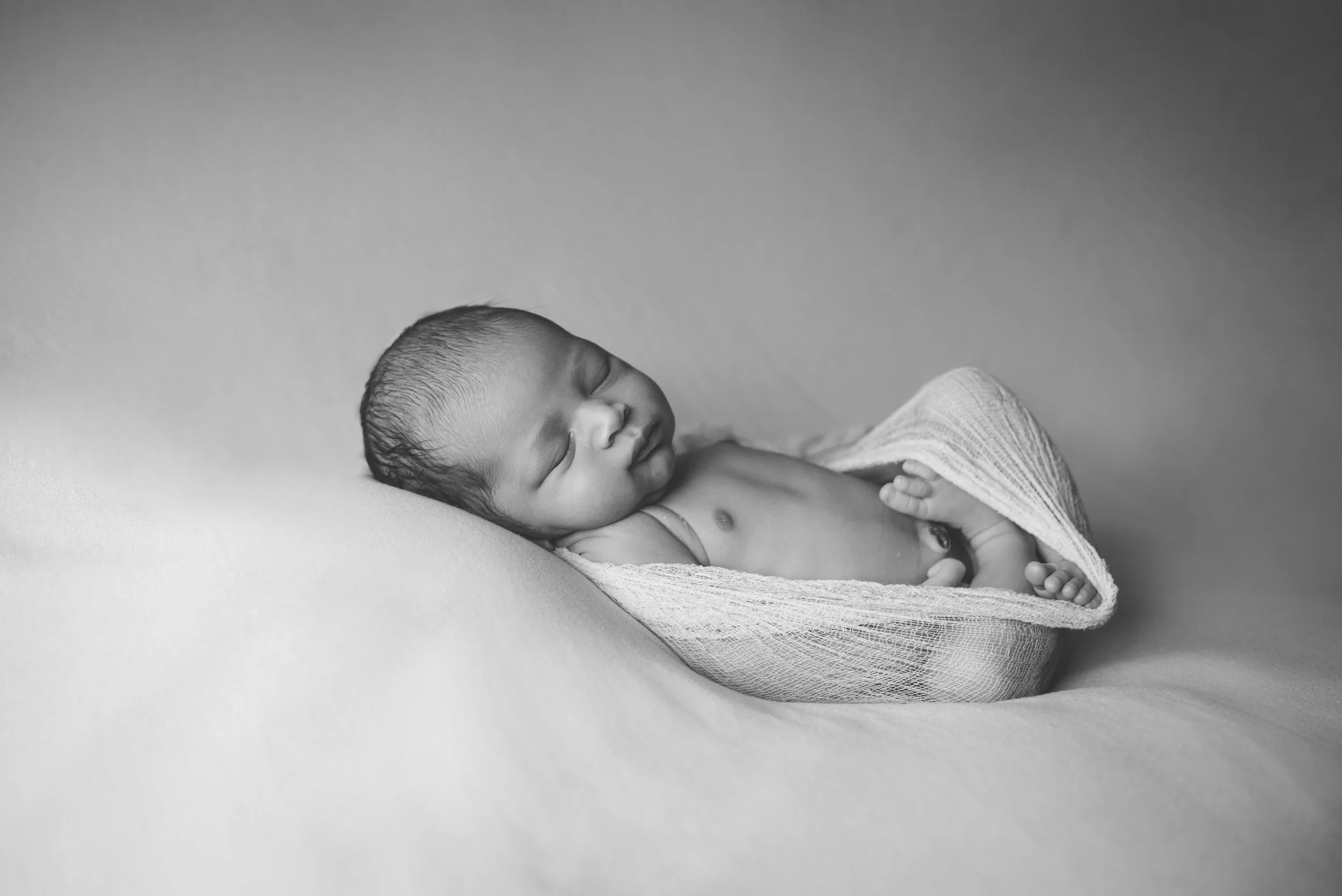 DSC_7347a.jpg