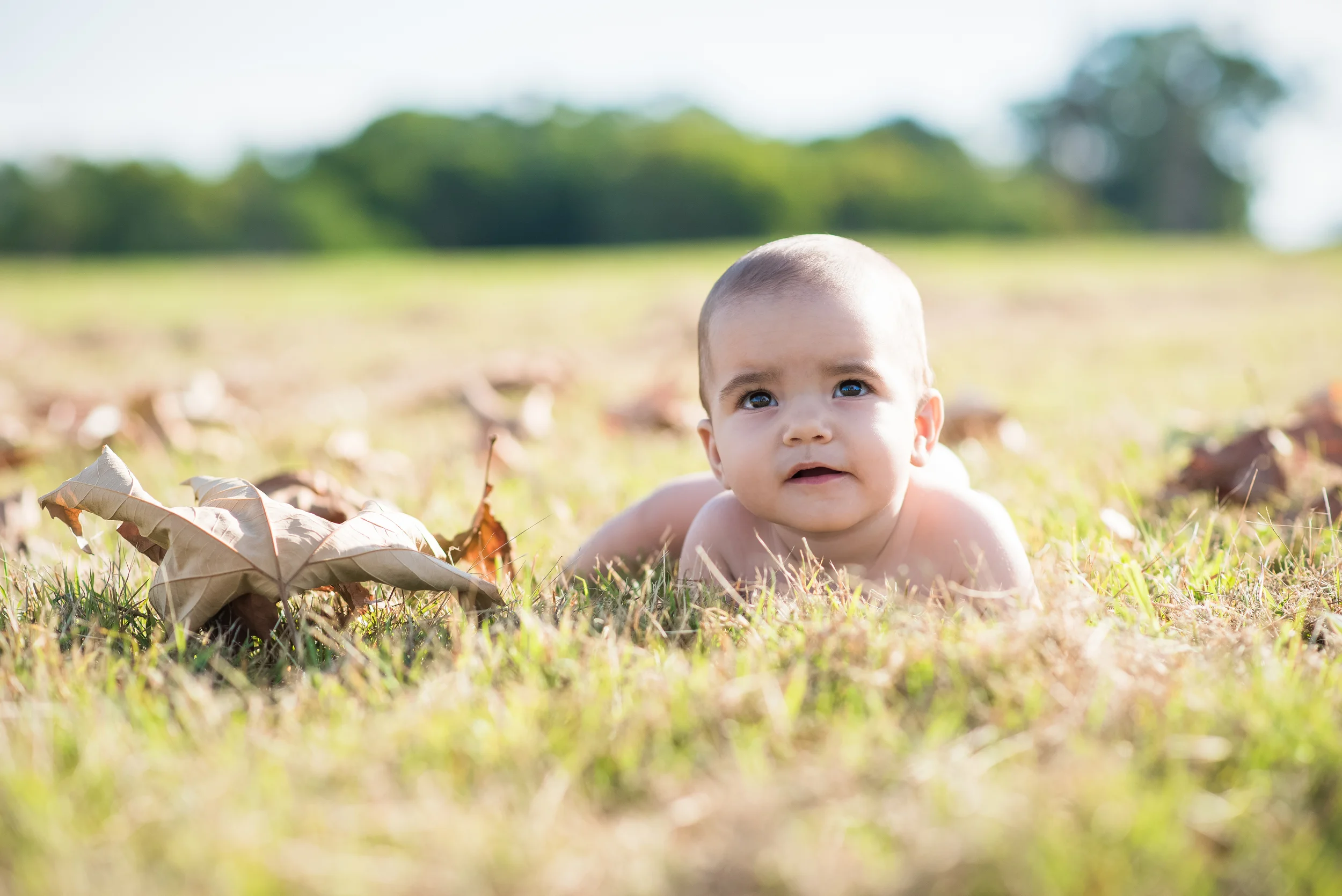 DSC_0332a.jpg
