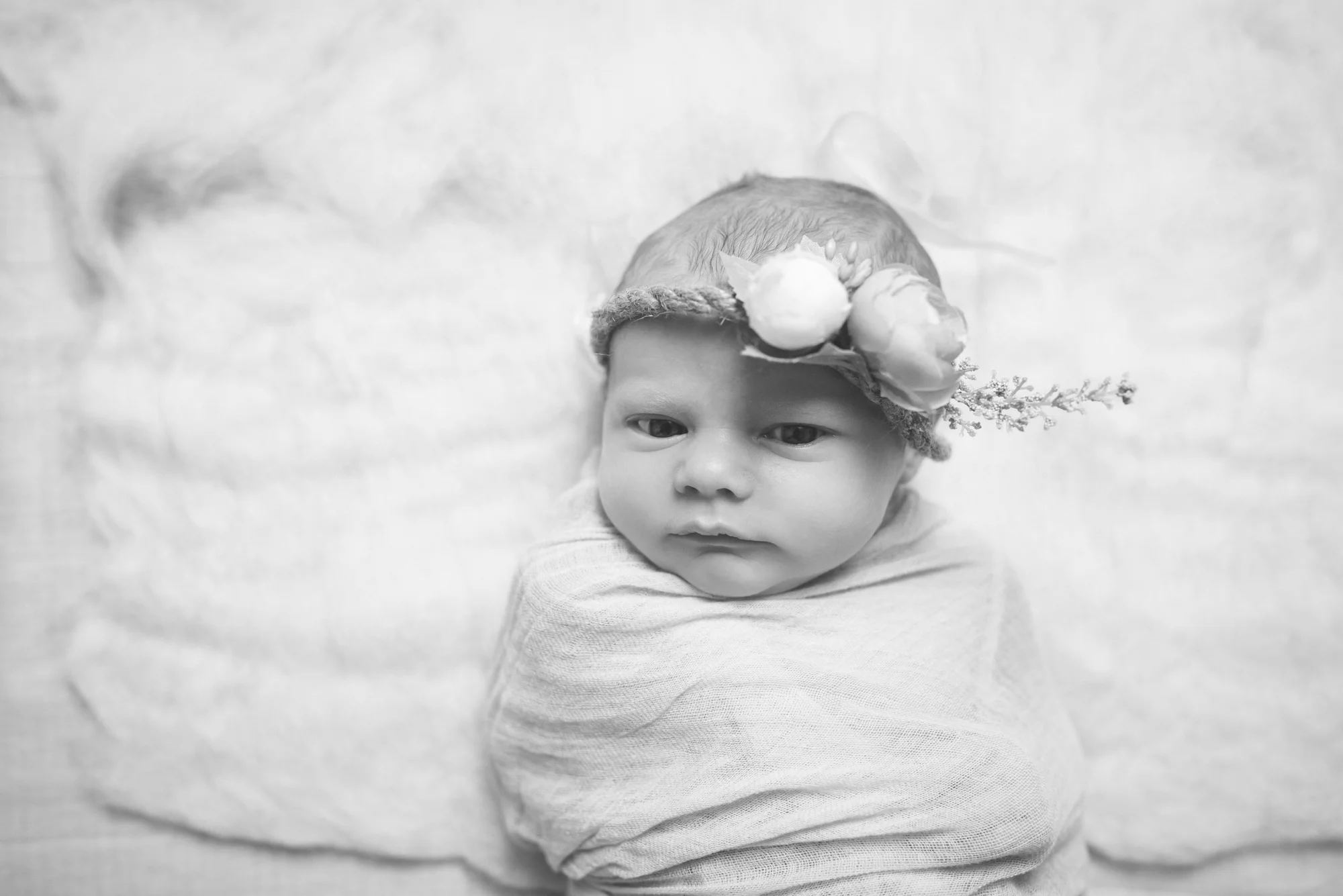 DSC_6123a.jpg