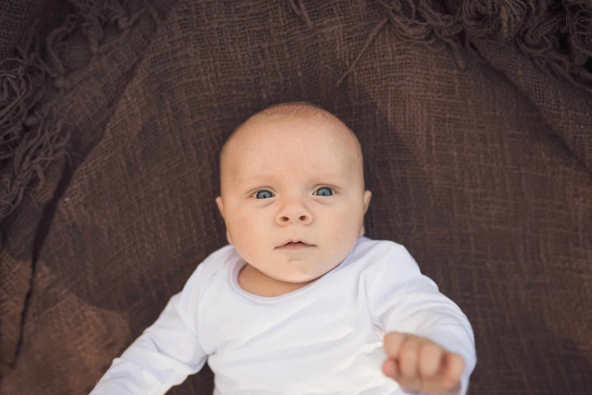 DSC_1807a.jpg