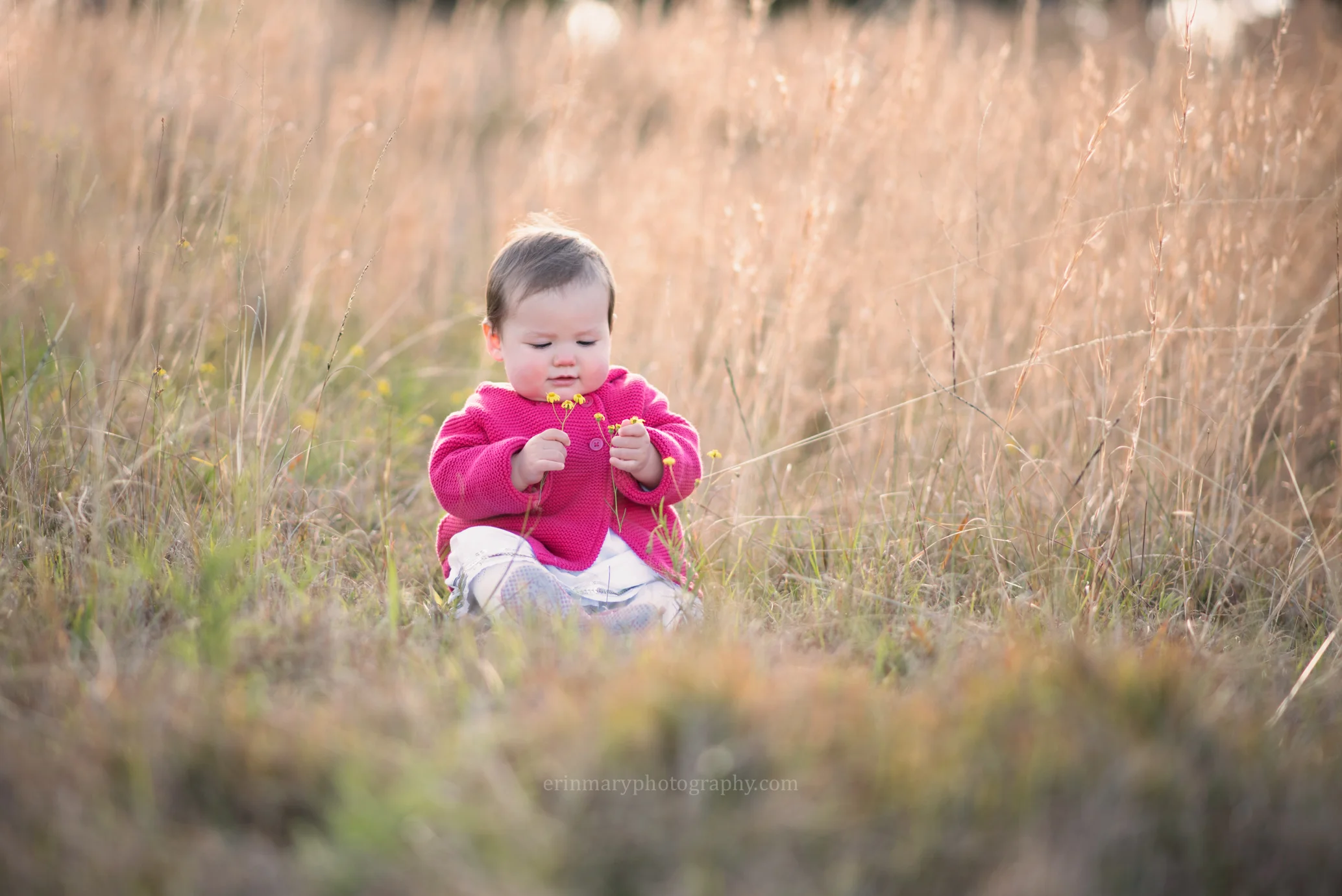DSC_2731a.jpg