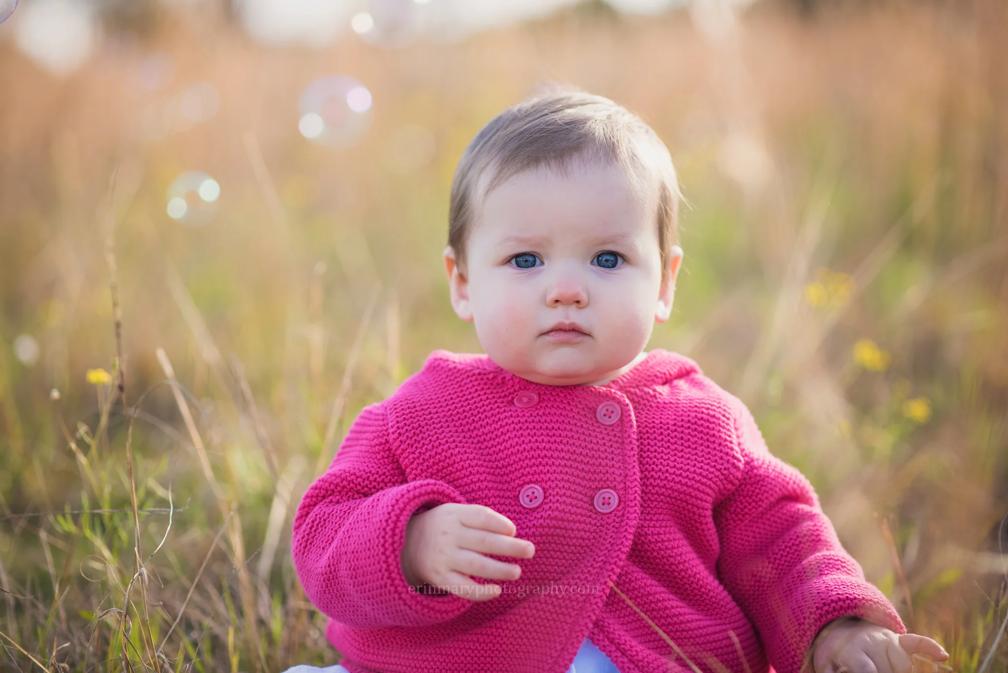 DSC_2775a.jpg