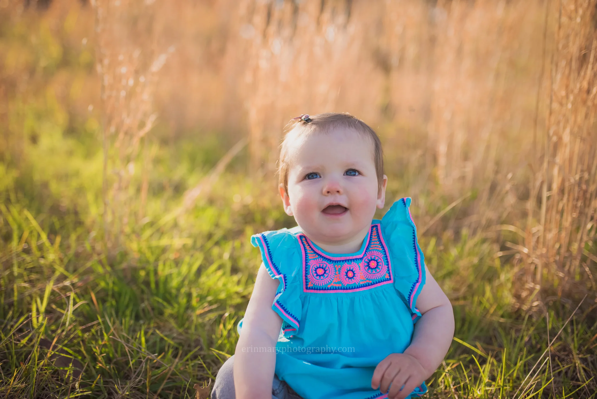 DSC_2929a.jpg