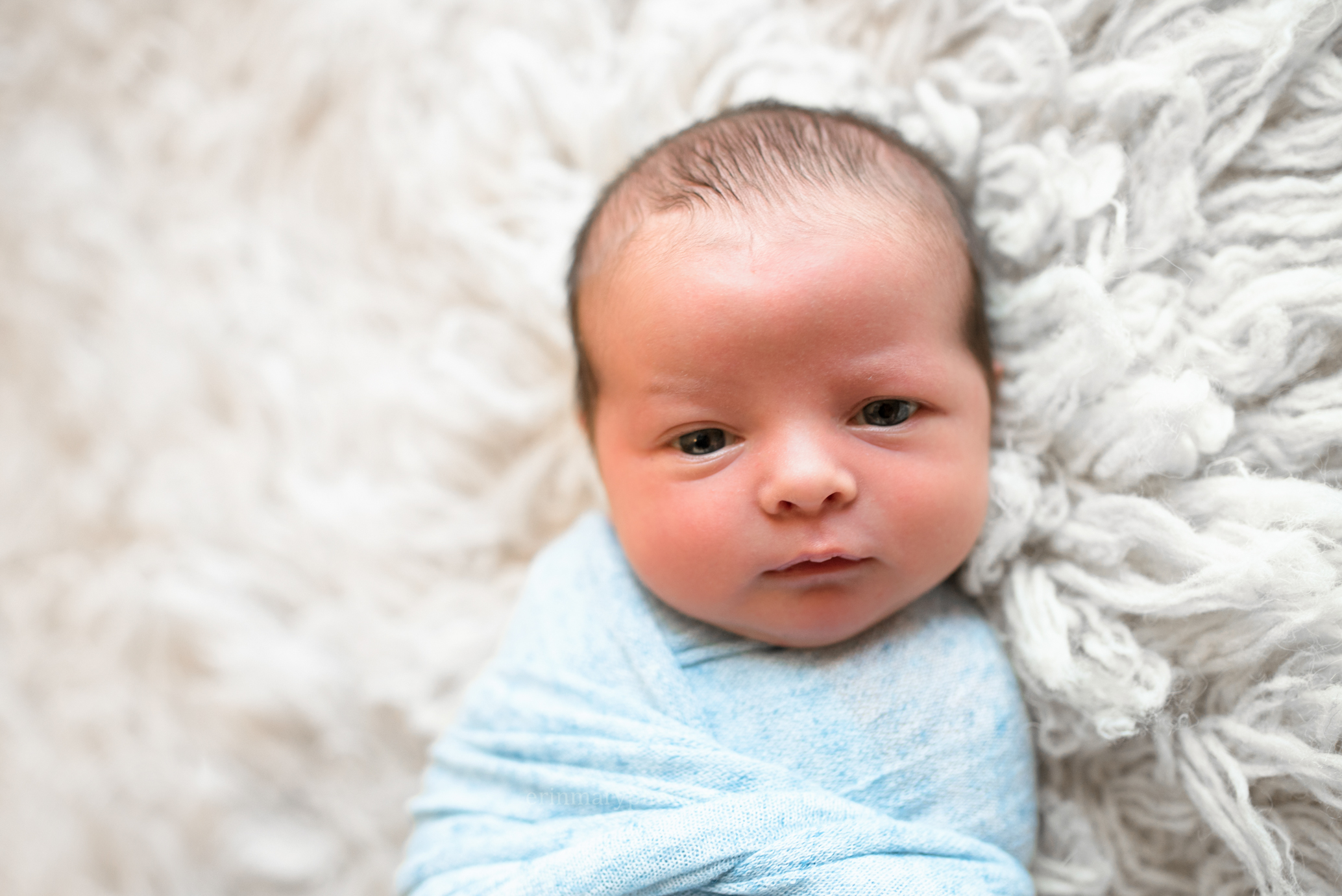 DSC_3099a.jpg
