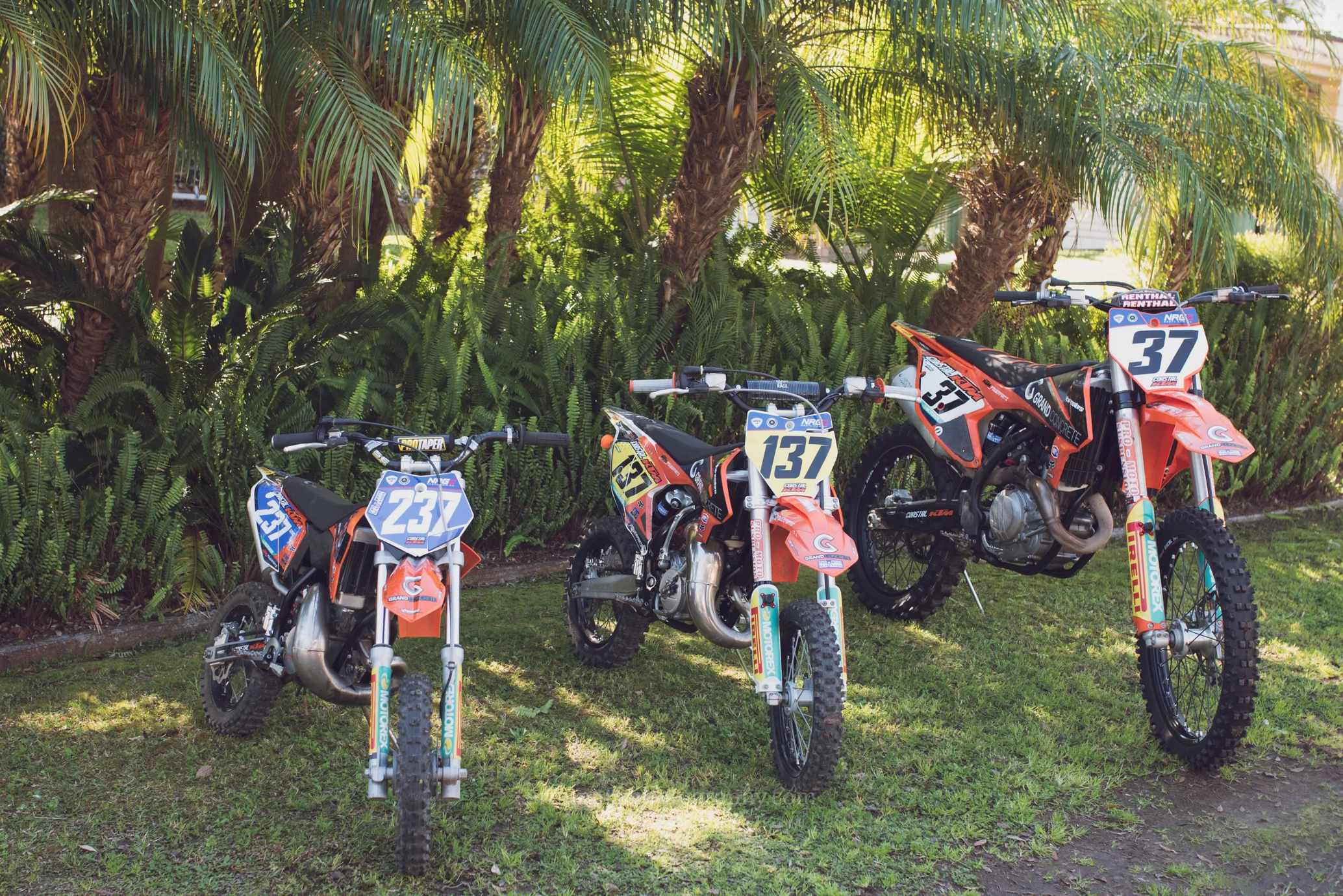 DSC_3662a.jpg