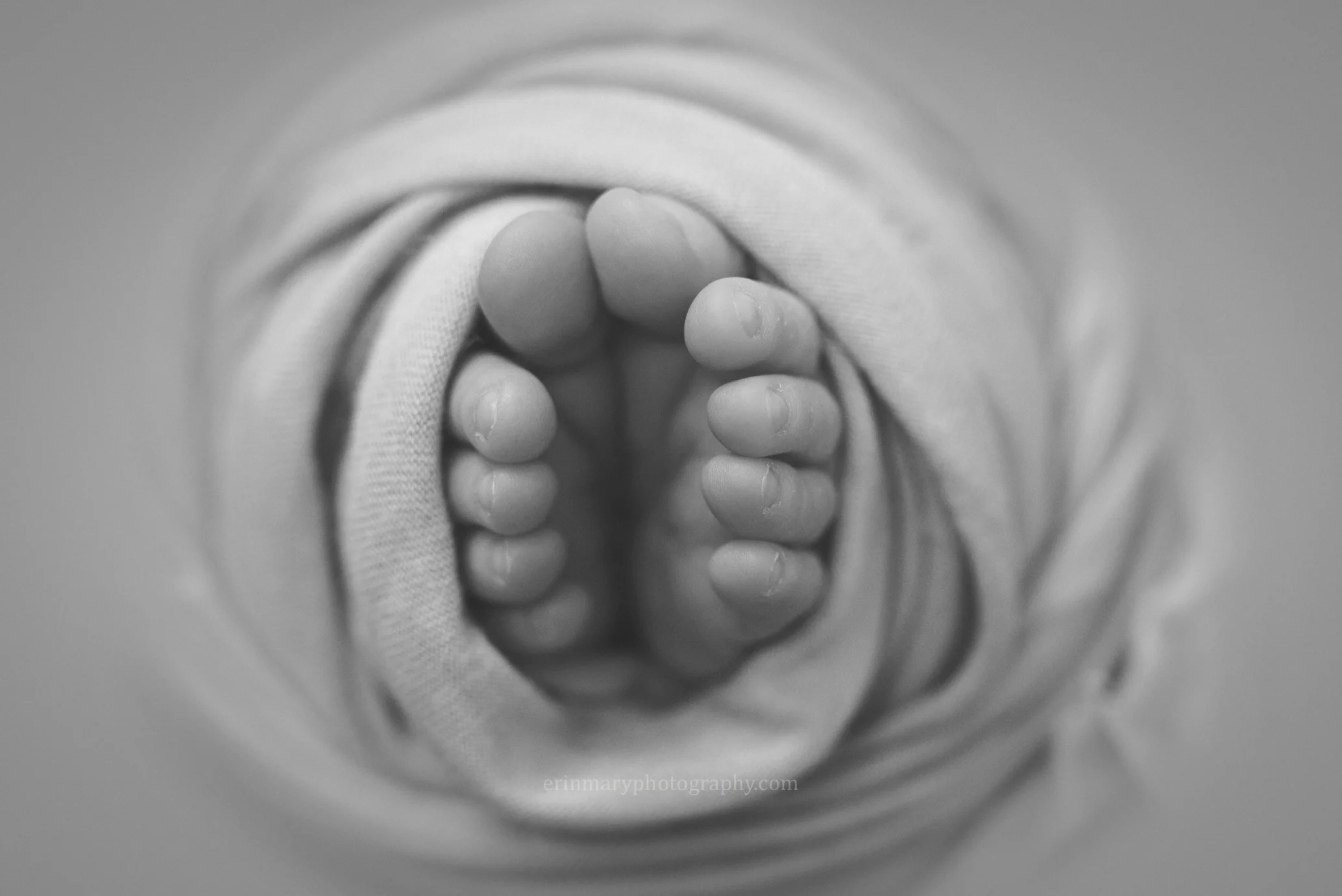 DSC_2100a.jpg