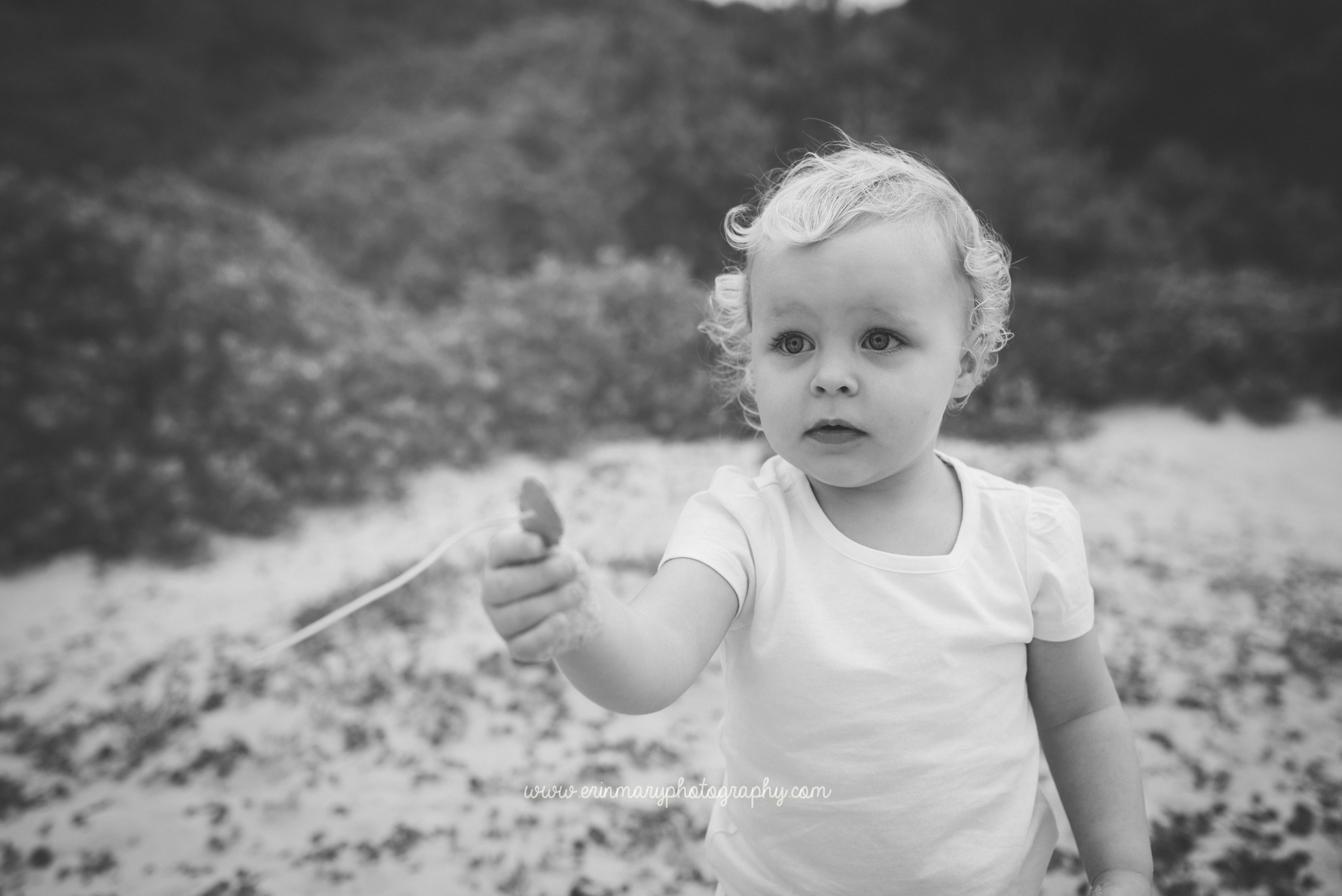 DSC_3025a.jpg