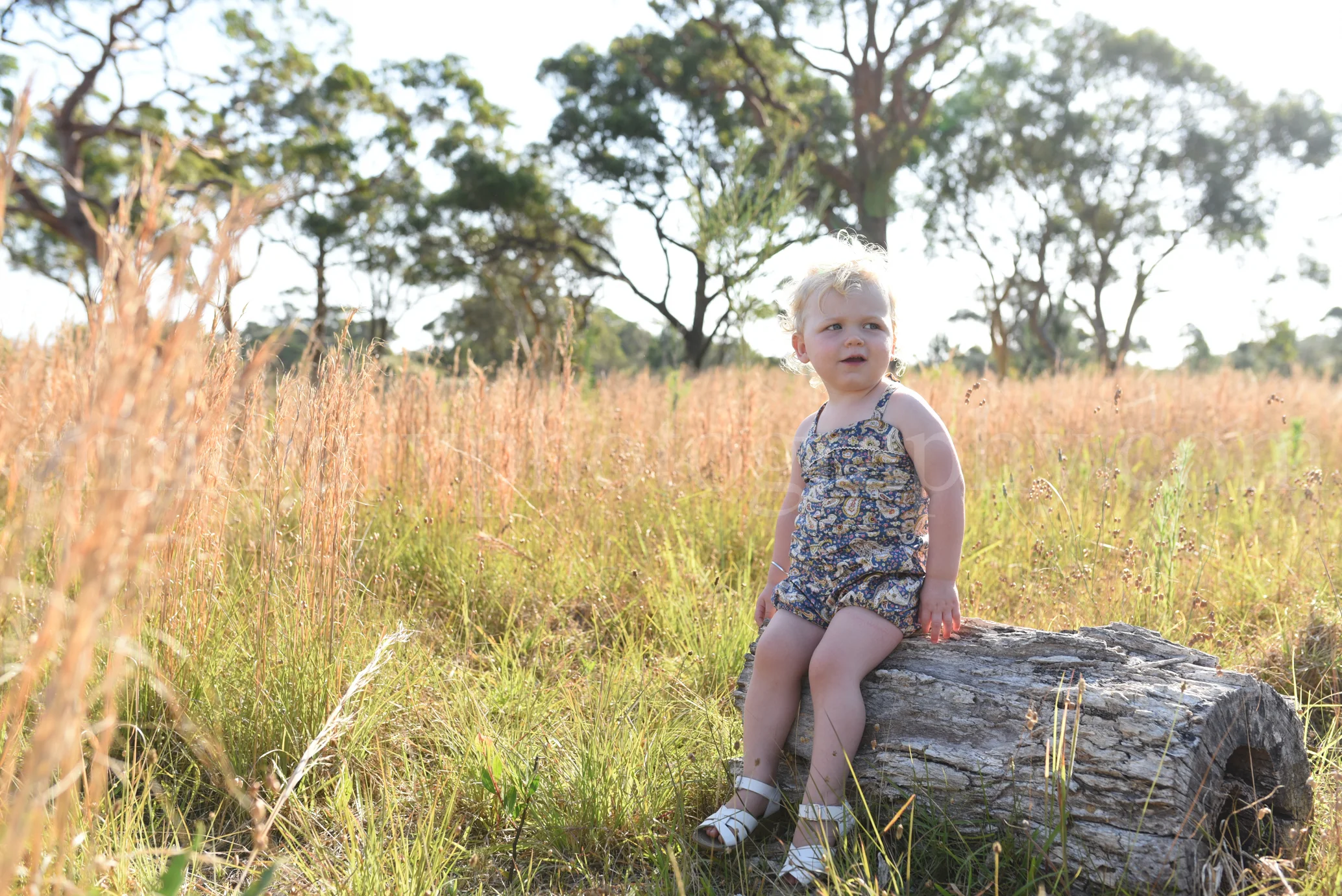 DSC_4894.jpg