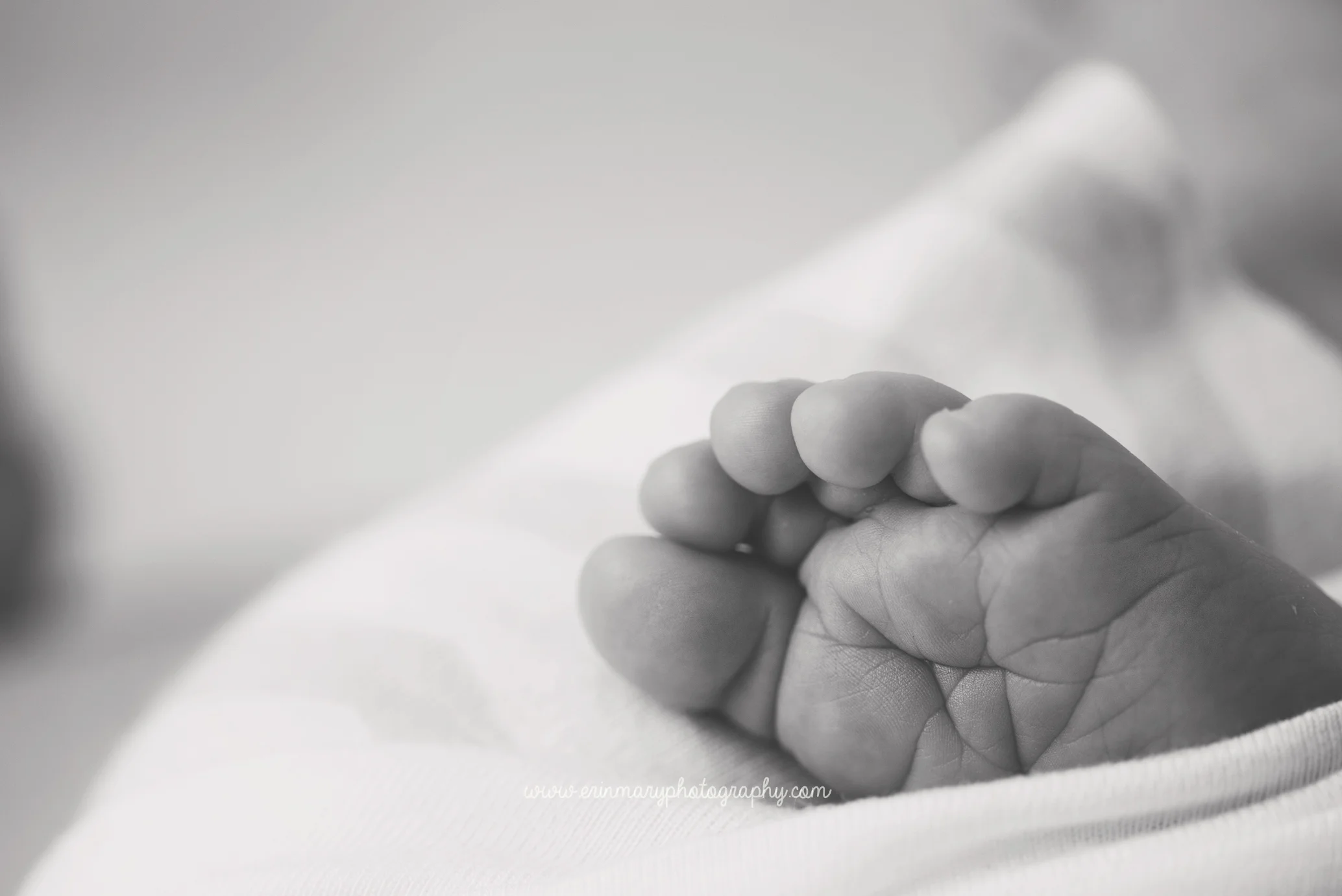 DSC_8043a.jpg