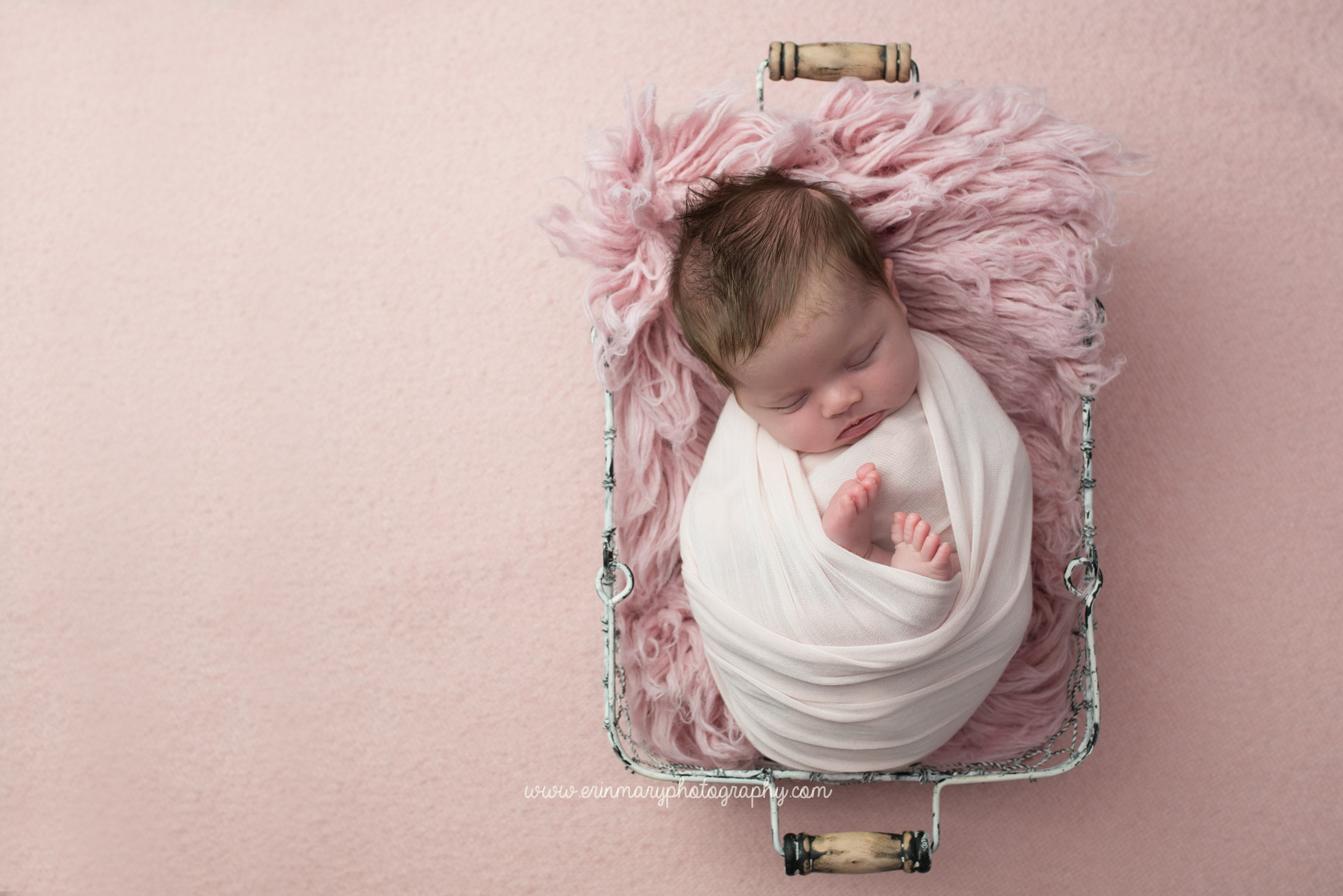 DSC_8401a.jpg