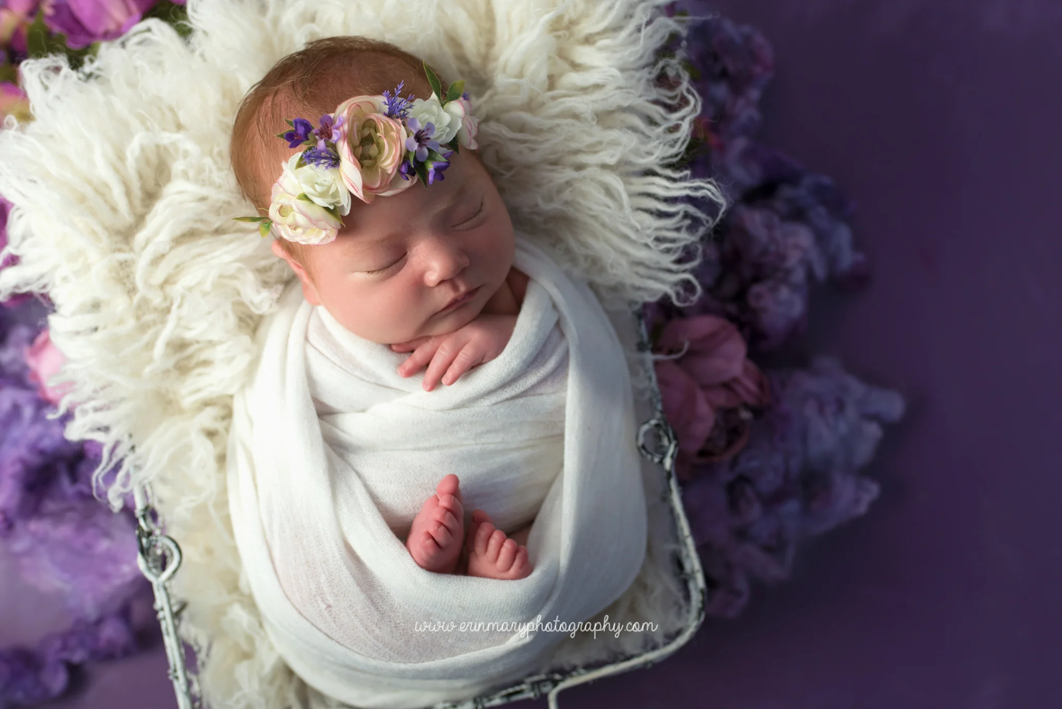 DSC_9930a.jpg