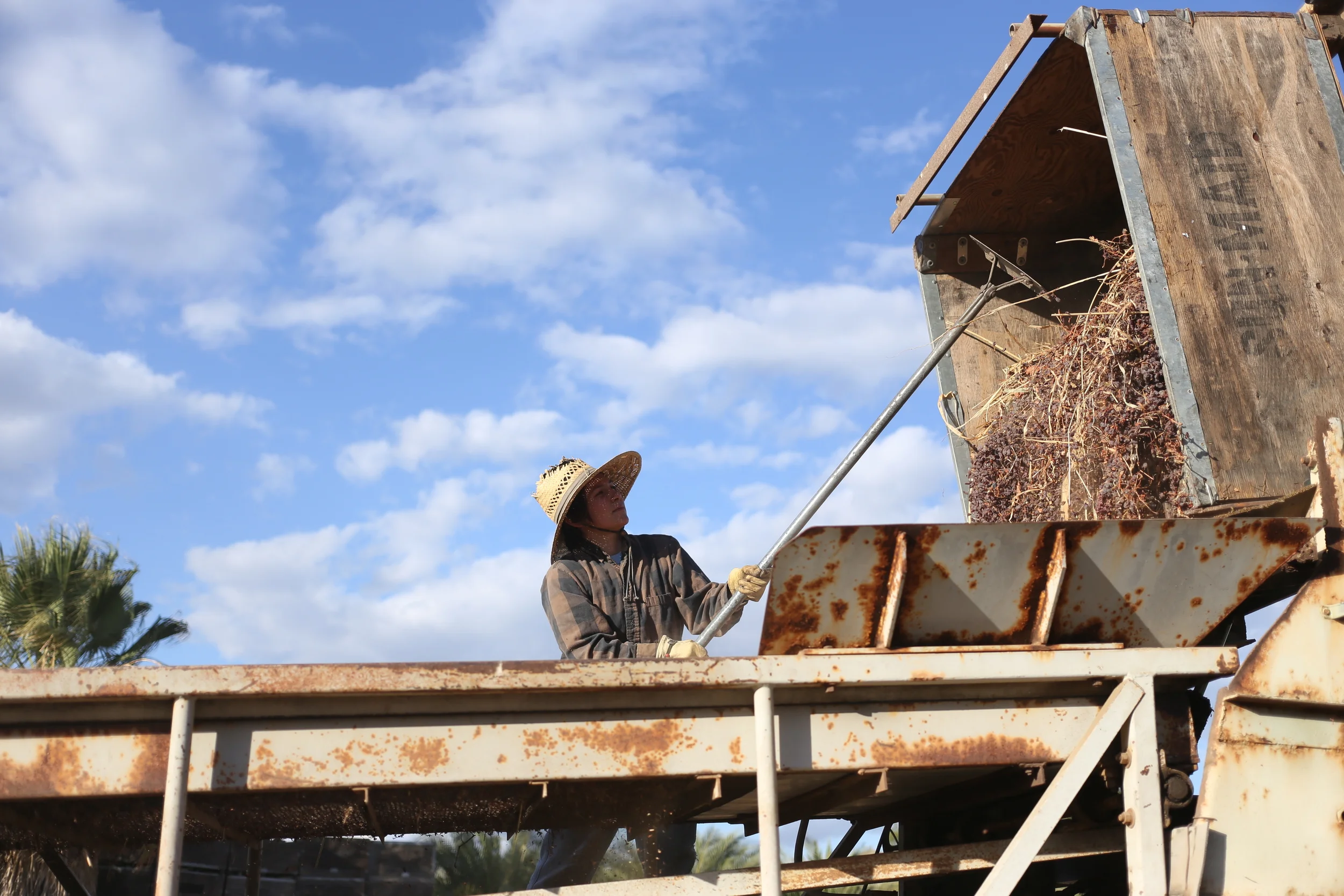 Nikiko Masumoto working on the Masumoto Family Farm in CHANGING SEASON (photo Alan Sanchez)