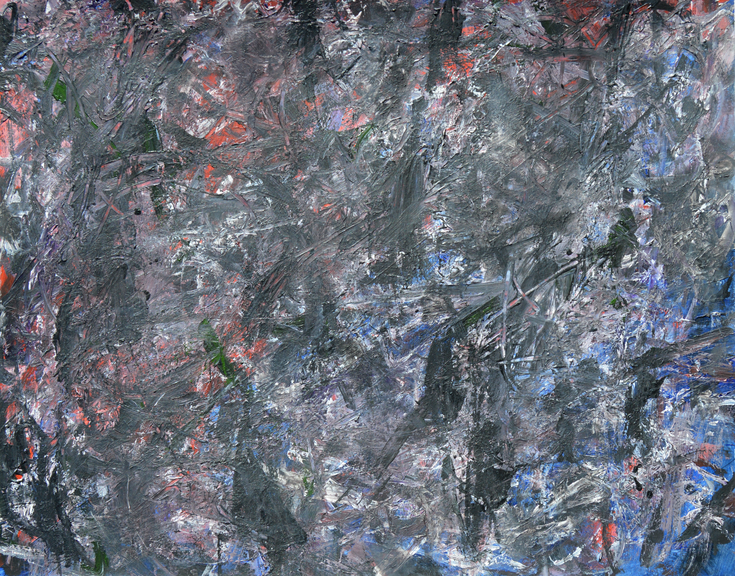 DSC_0076.png