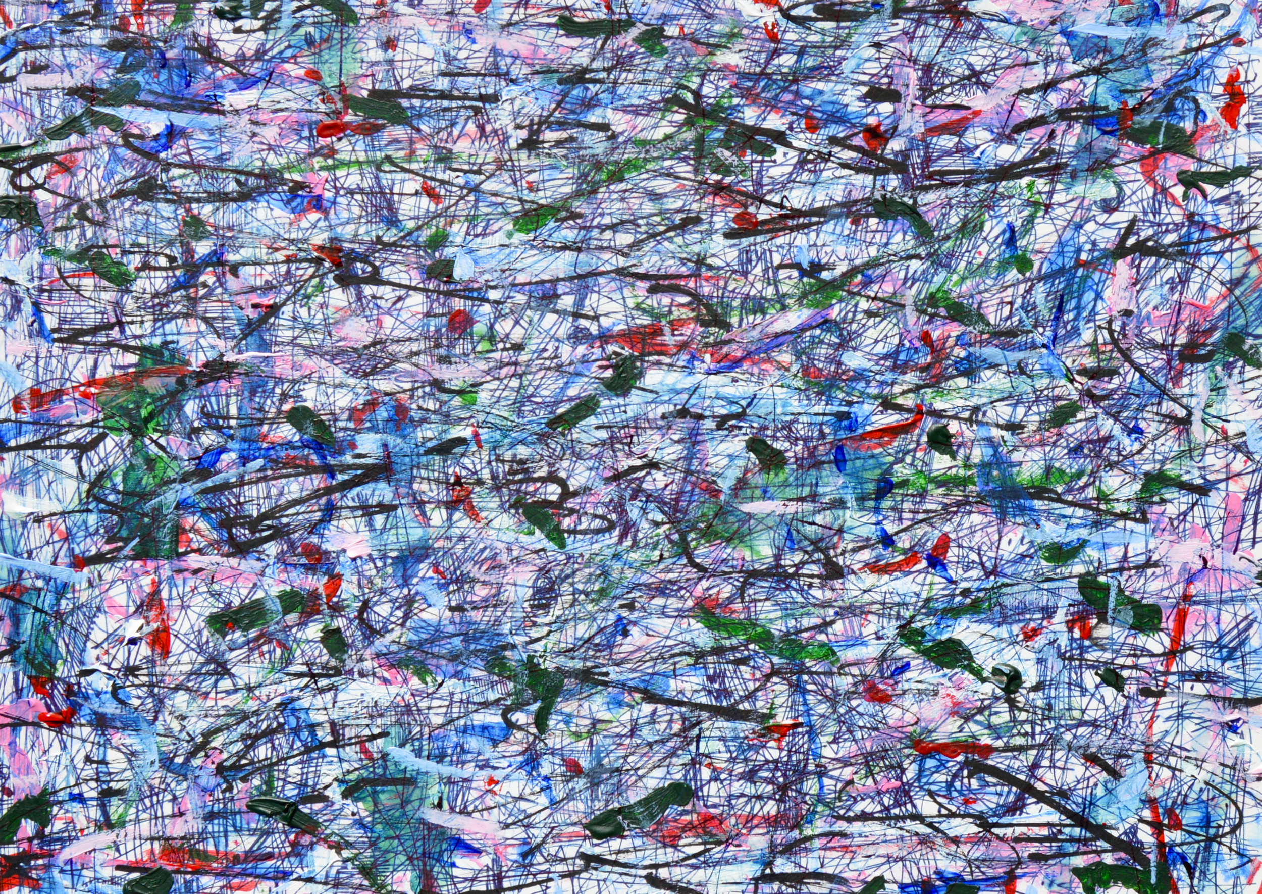 DSC_0155.png