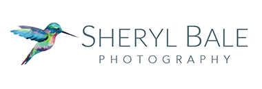 Sheryl Bale Photography