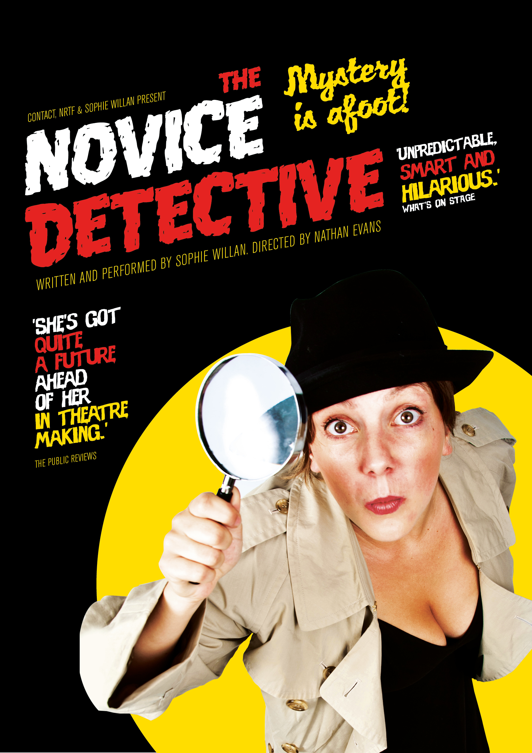 Novice Detective.jpg