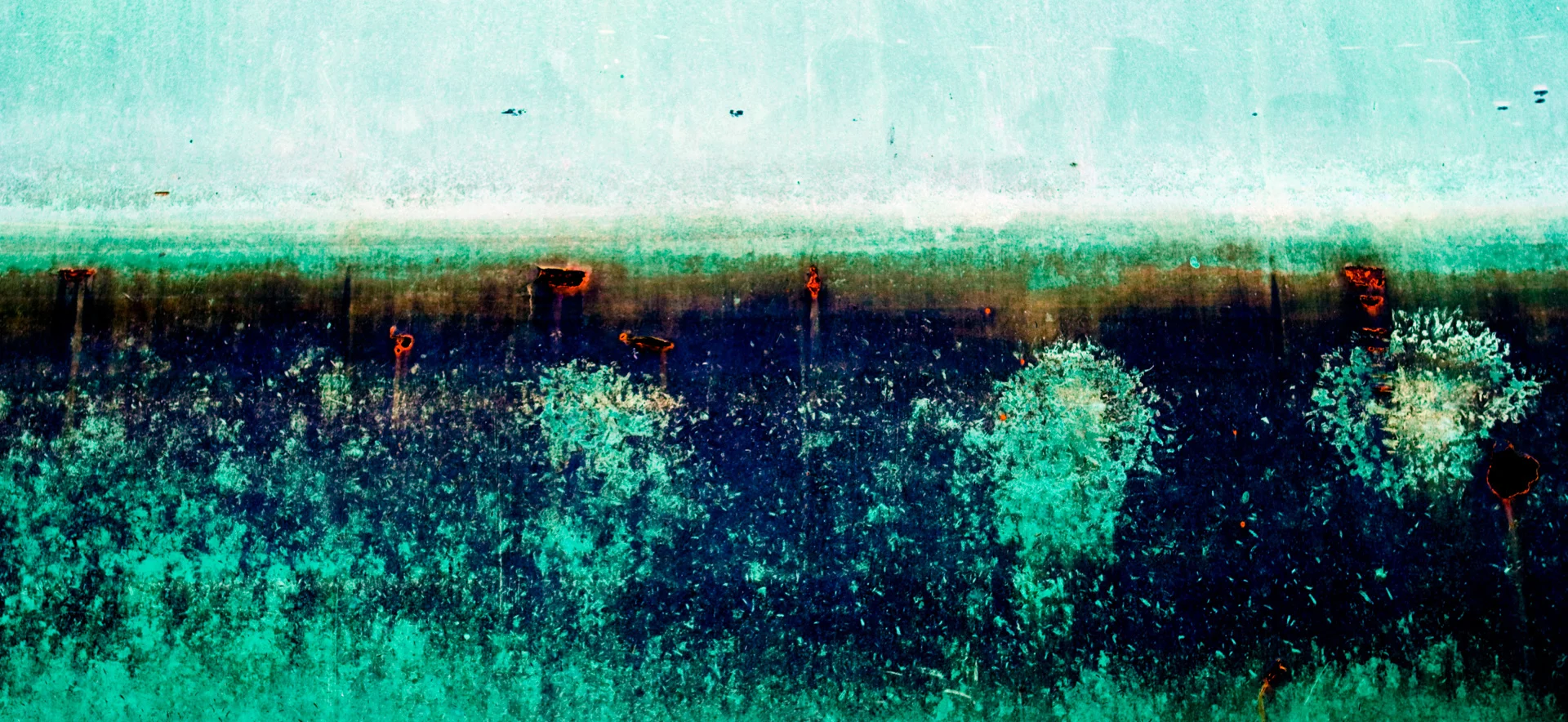 Emerging, 2007