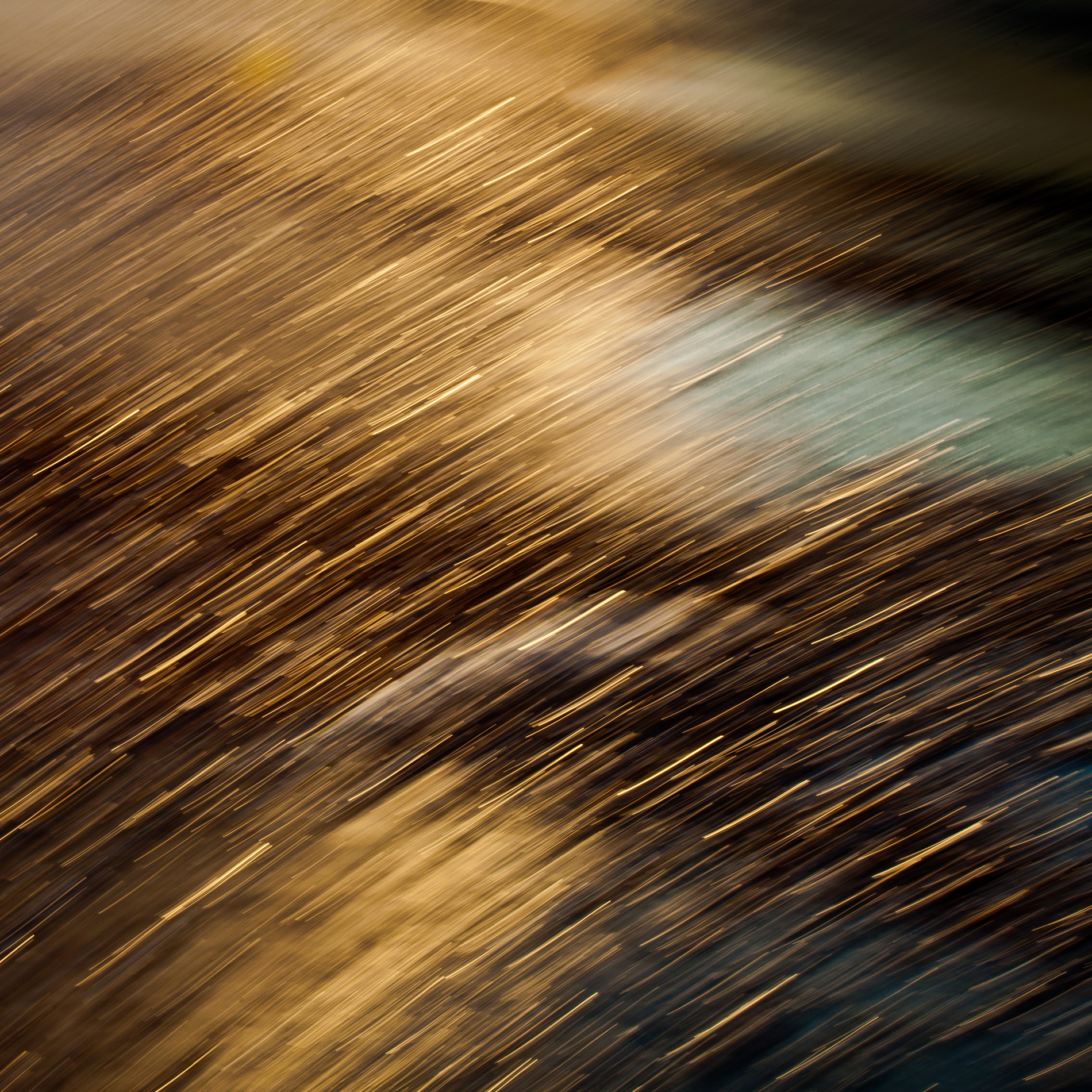 Rushing,-#2-2010.jpg