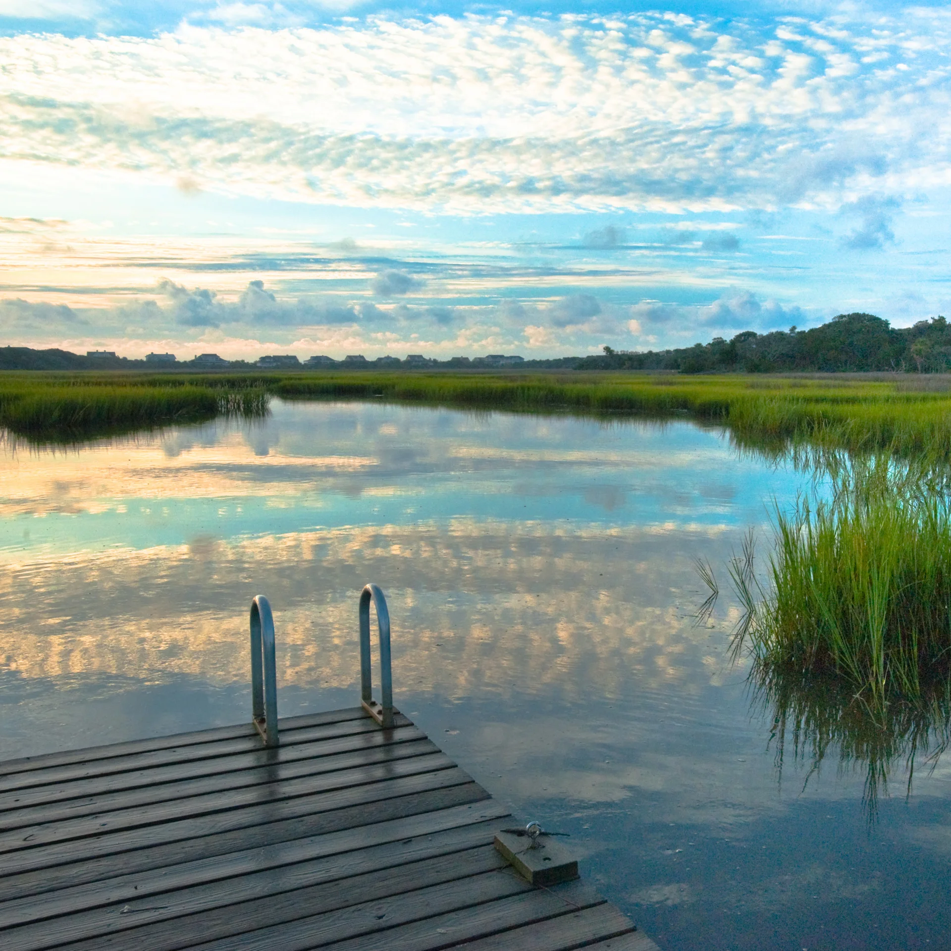 Fresh Morning, 2009