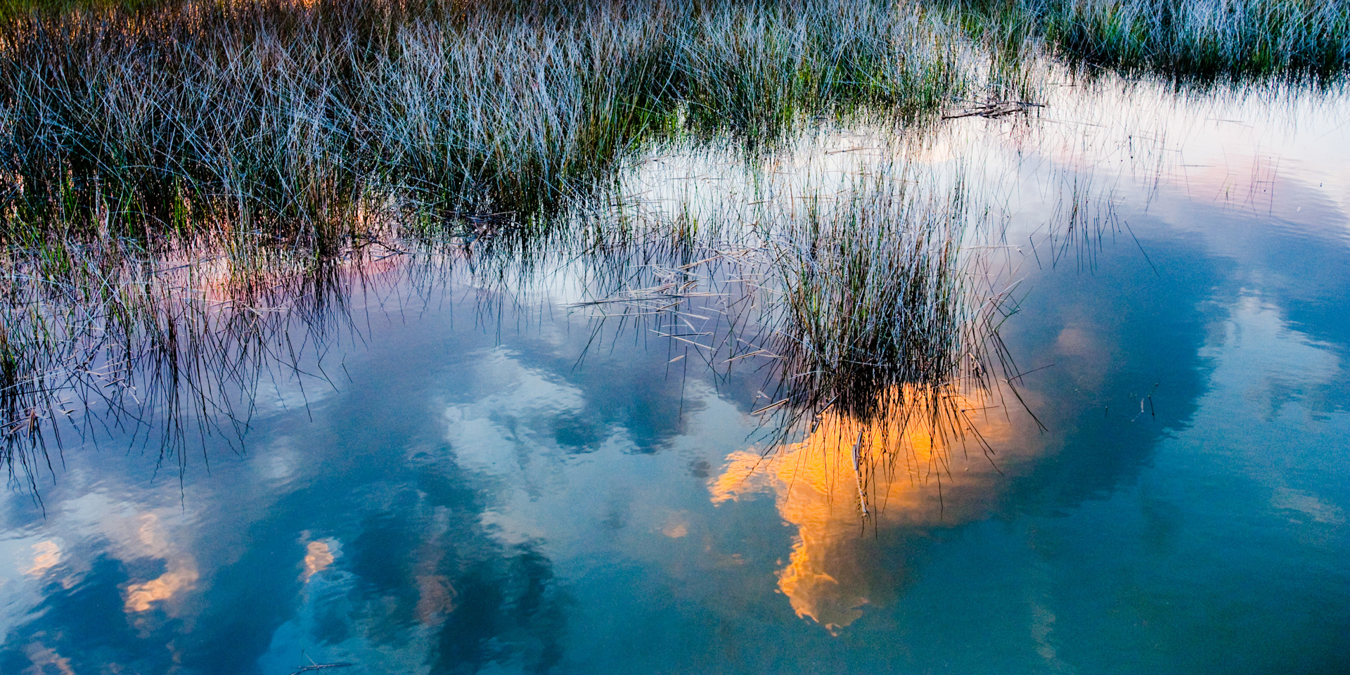 Amber Cloud, 2009