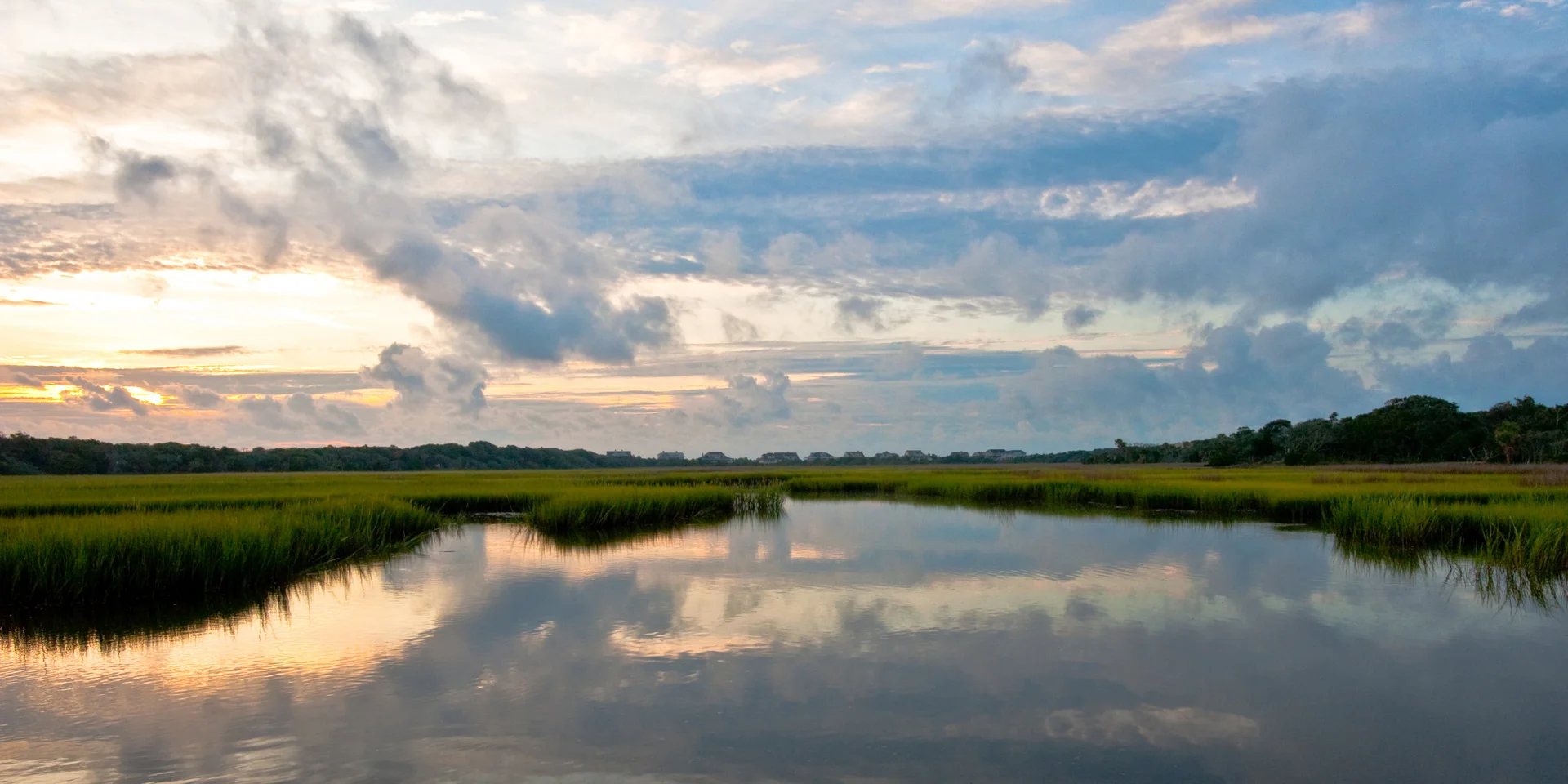 Placid, 2009