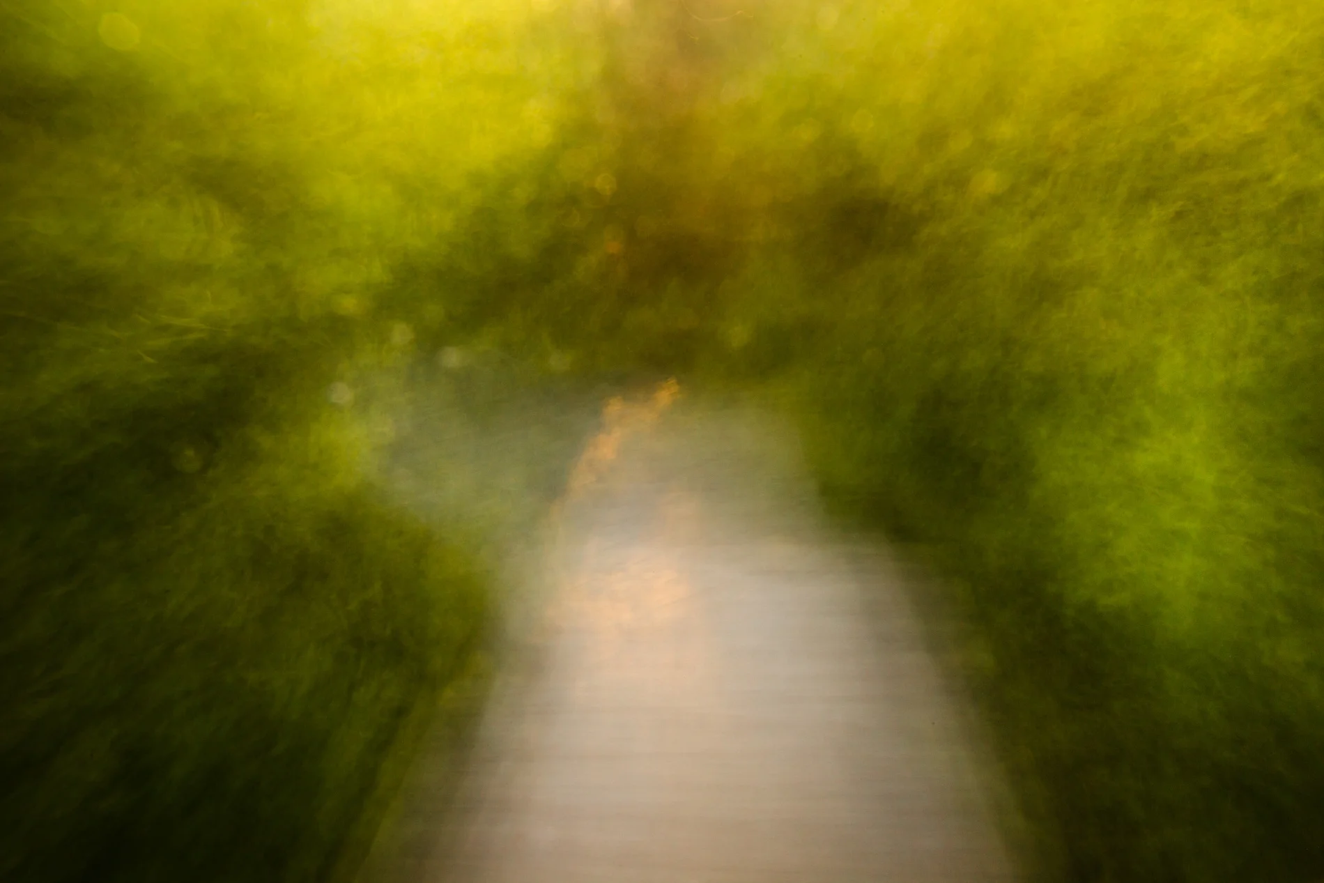 The Path, 2012