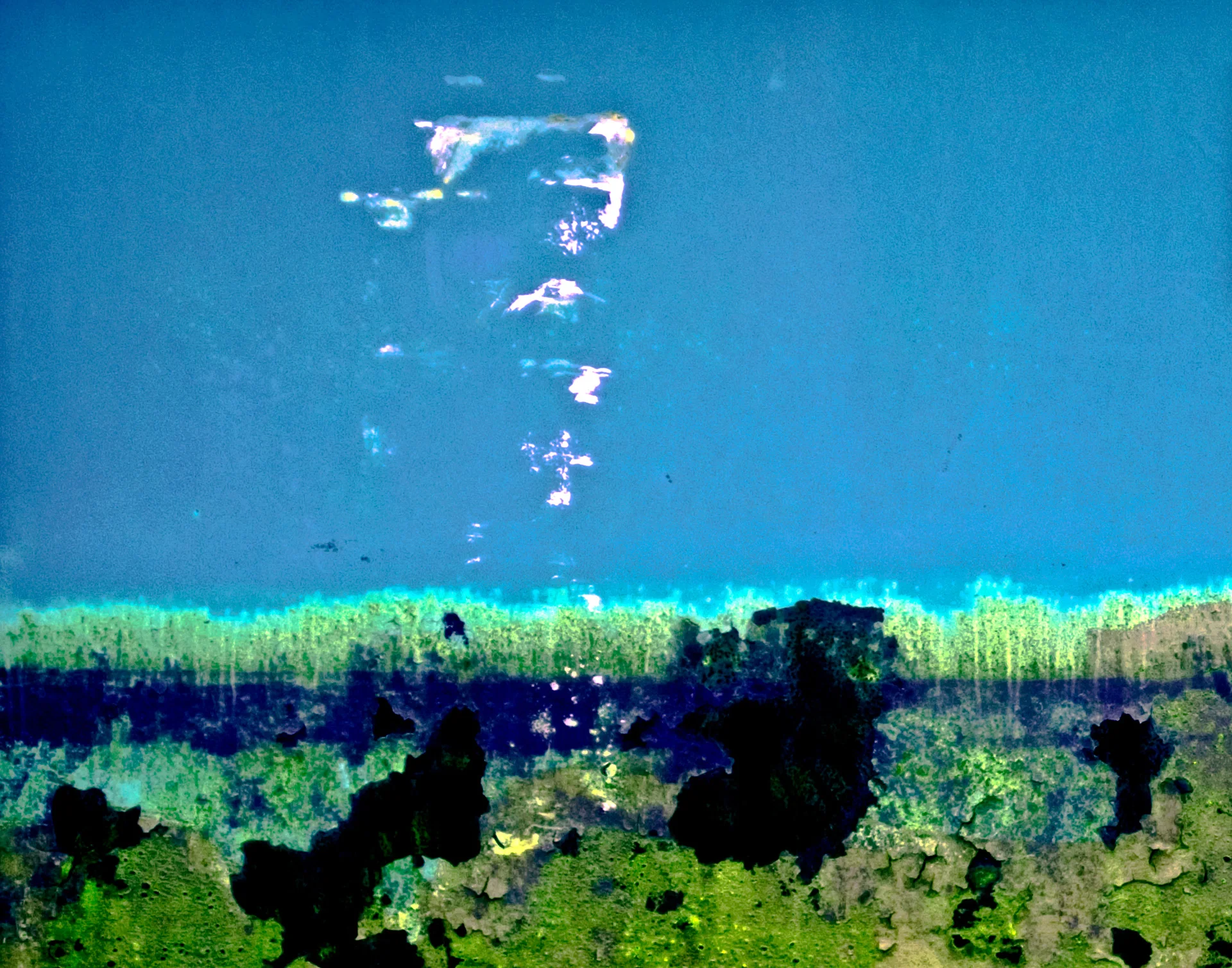 Atchafalaya Basin, 2006