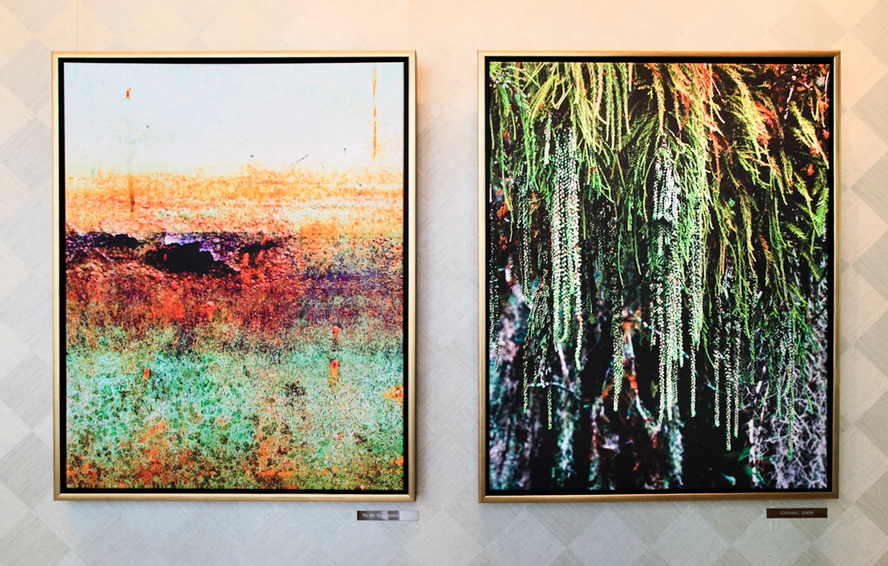 Fragile Beauty, solo show at the Umstead, Cary, NC., 2011. To Be Salvaged , at left with Catkins , at right