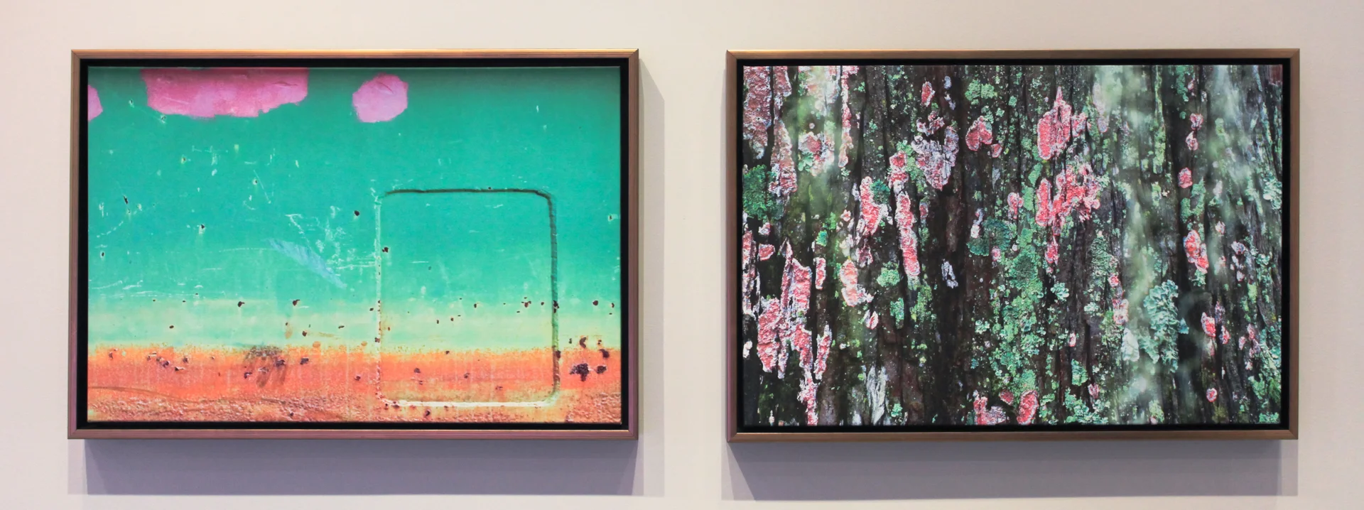 Tilting , from the Louisiana Marsh series, with Fuschia Lichen , from the Acadian Wetlands series