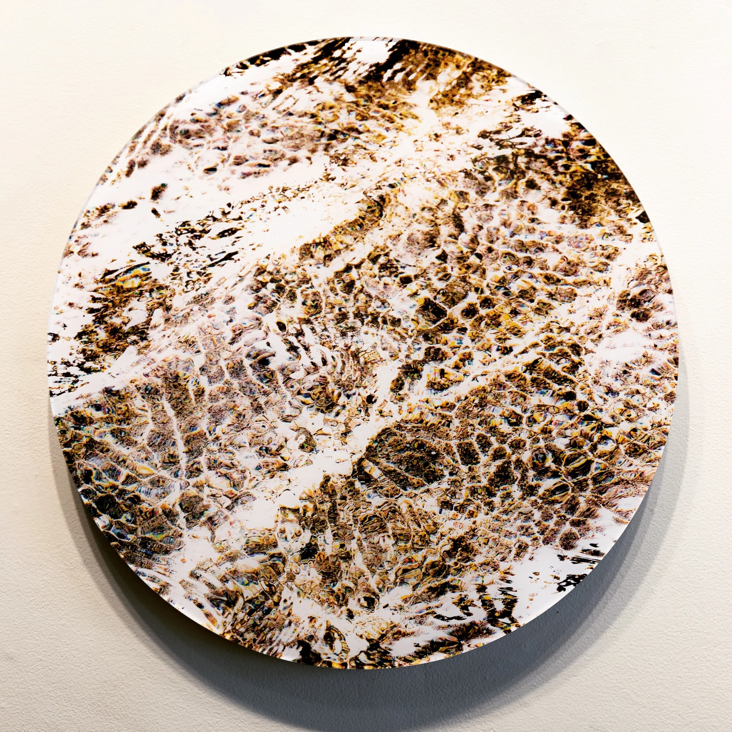 Atlantic Study #6, 24" diameter C-Print