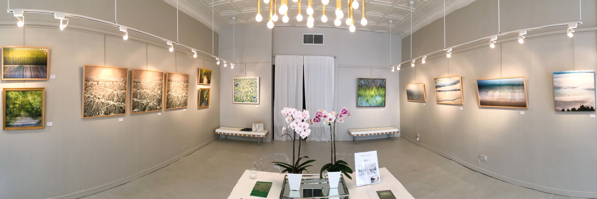 Rare Earth At Kelli Kaufman Gallery, Lafayette, LA