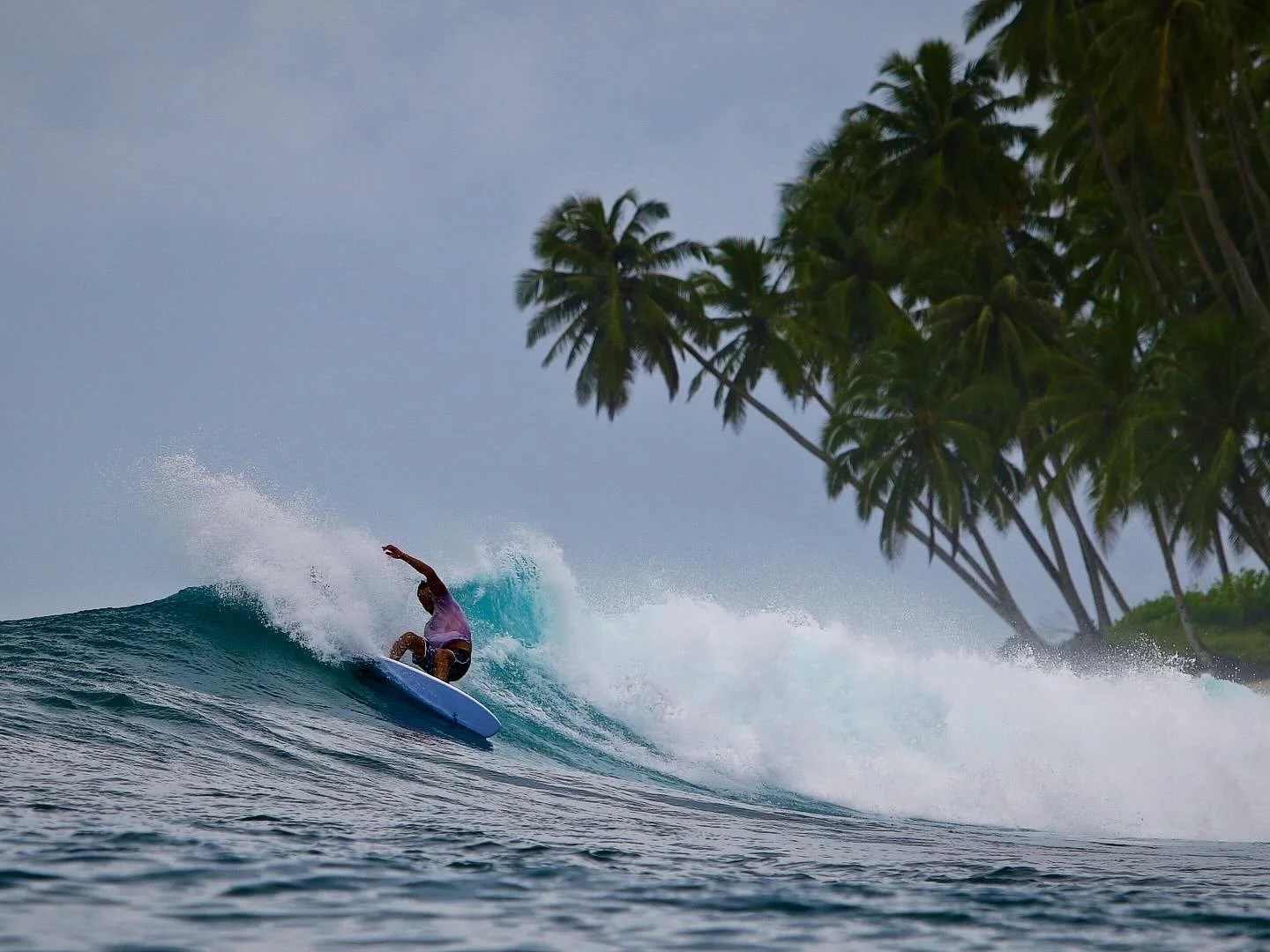 A person surfing on a wave near a tropical shoreline with palm trees