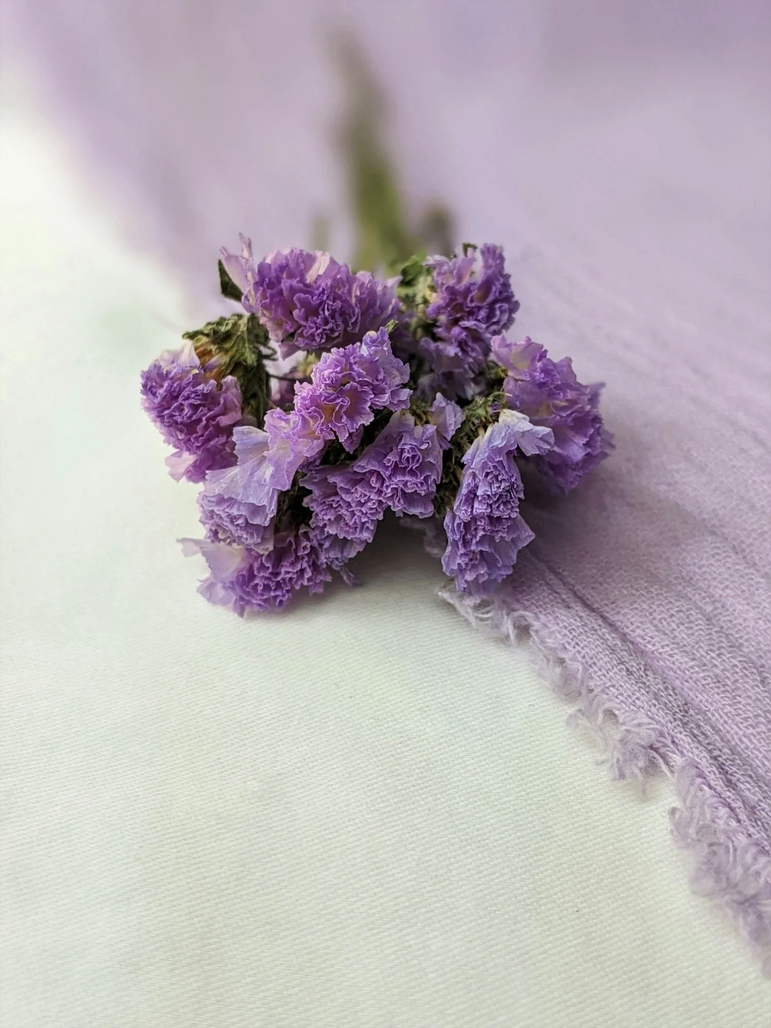 Empowering Therapy for Women - Purple Flowers