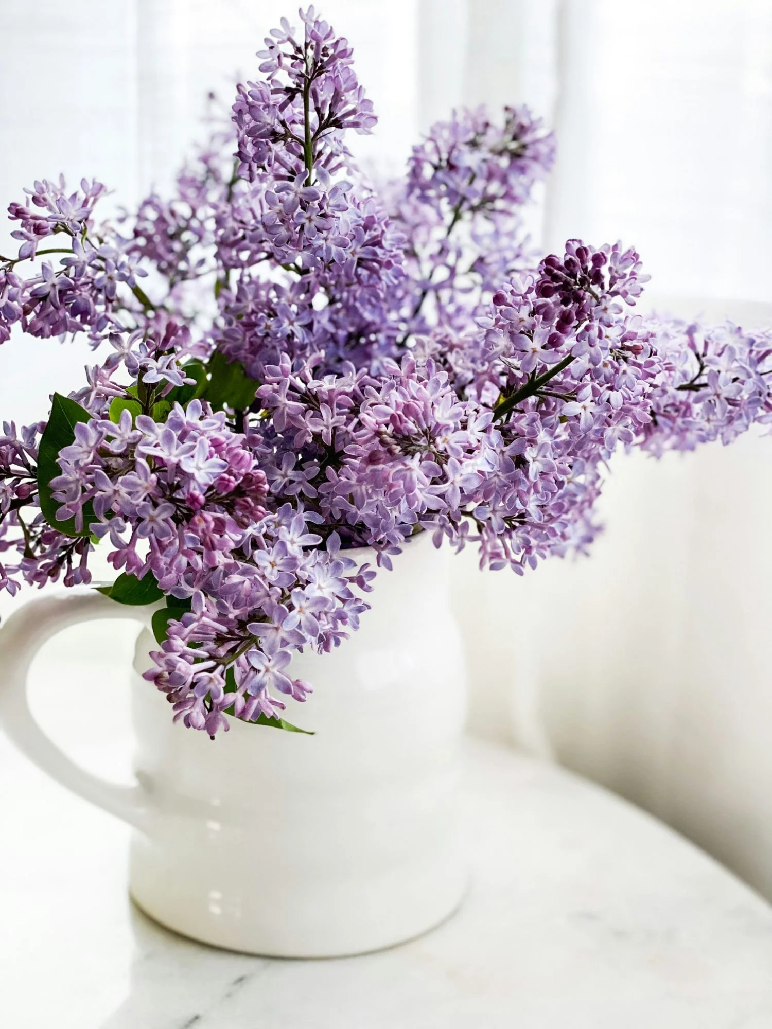 Purple flowers in a vase