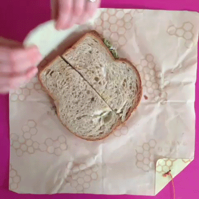 sandwich-video_400px.gif