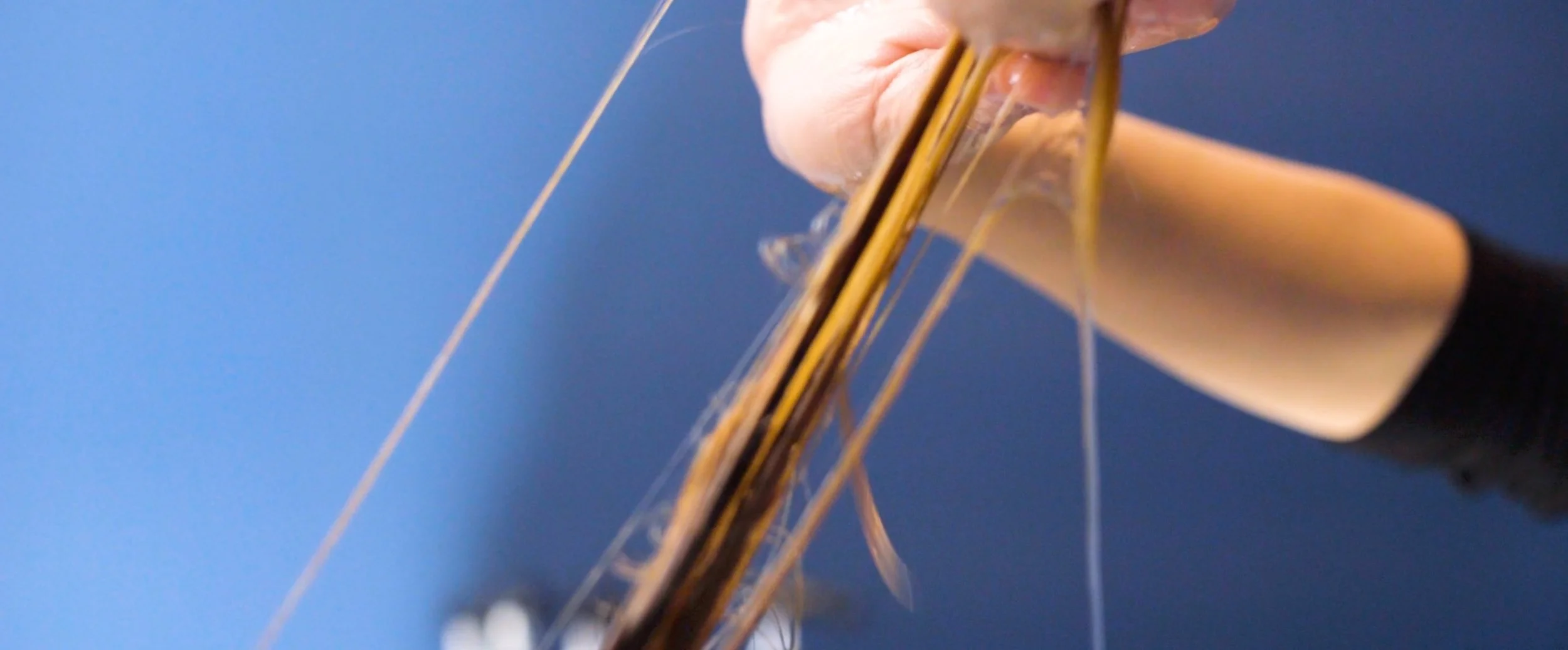 Screen Shot 2017-04-07 at 4.50.35 PM.jpg