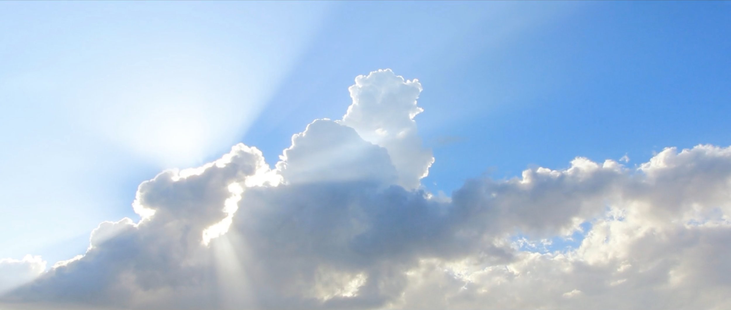 Screen Shot 2017-07-13 at 9.51.51 AM.jpg