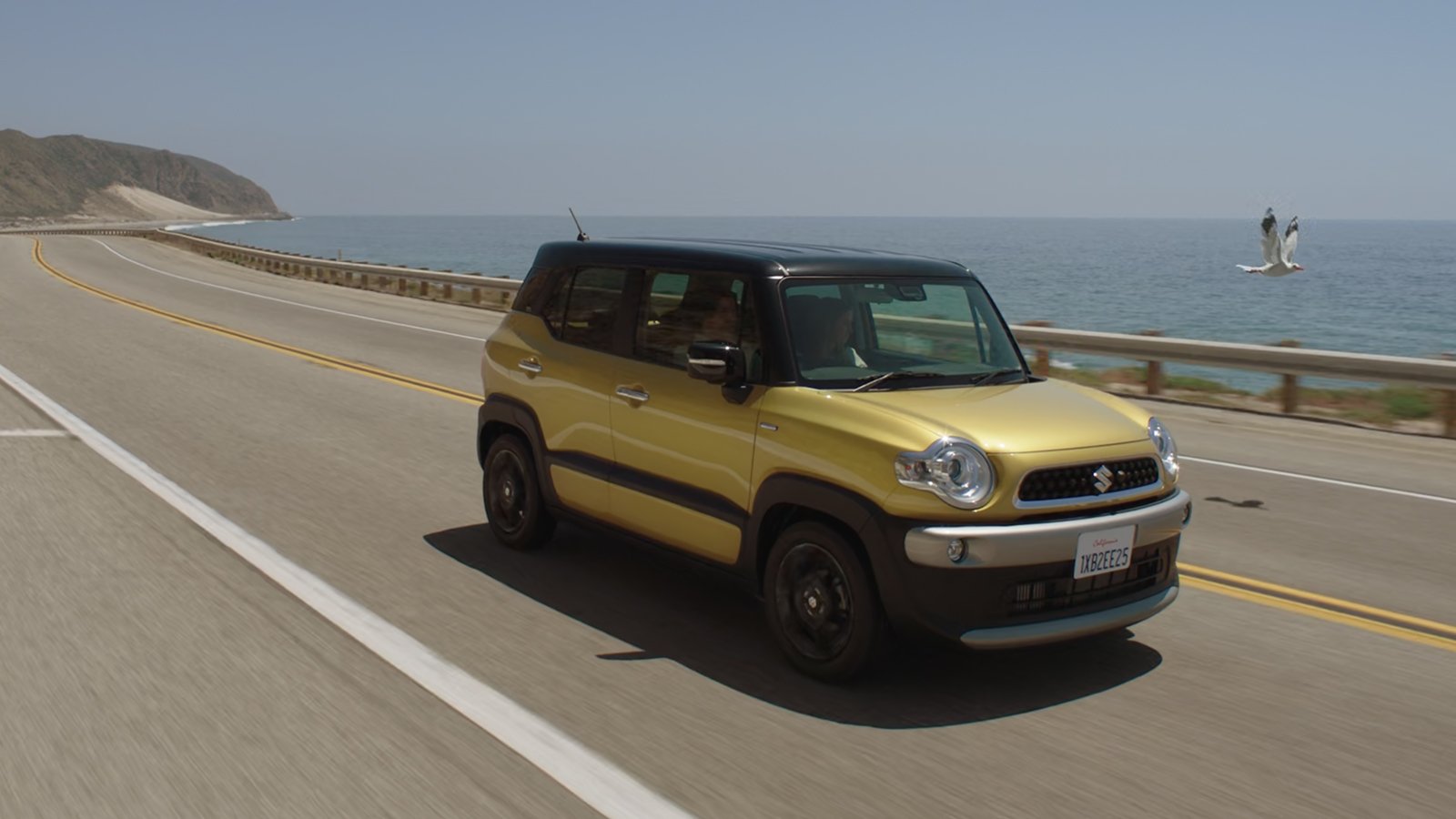 suzuki-xbee-2.jpg