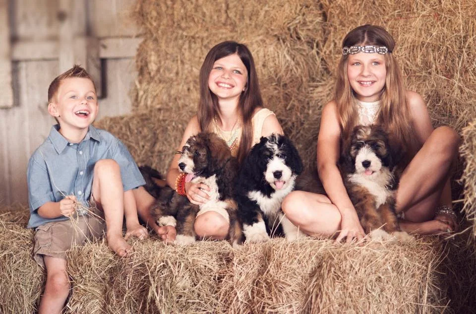  Preston, Emme, & Lexie 2014