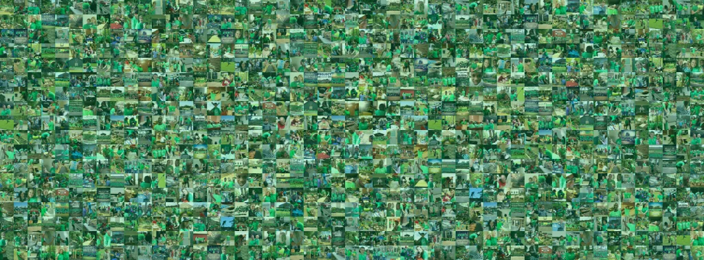 A New Year. A New Look.