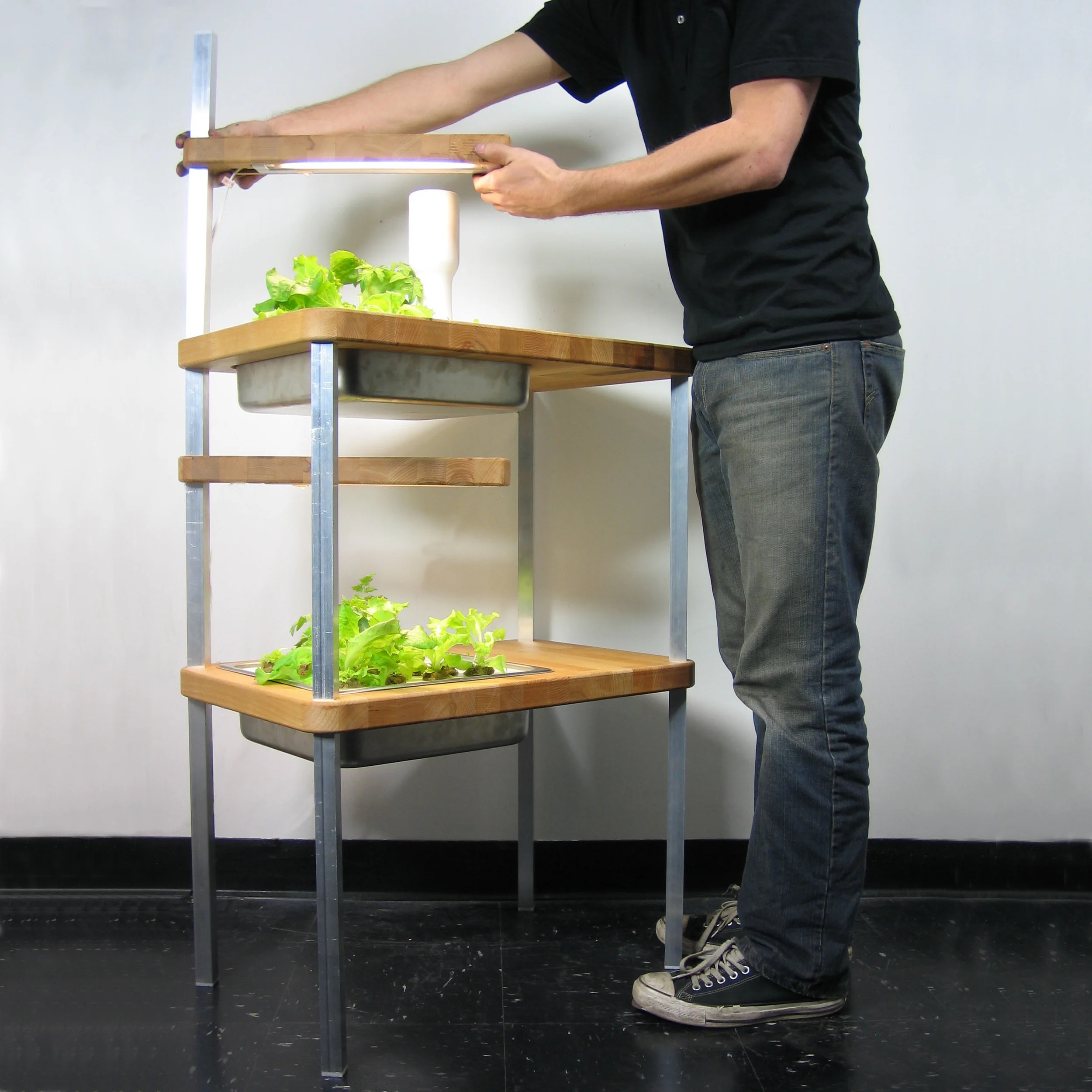 1GrowCyclePorftolioImage.jpg