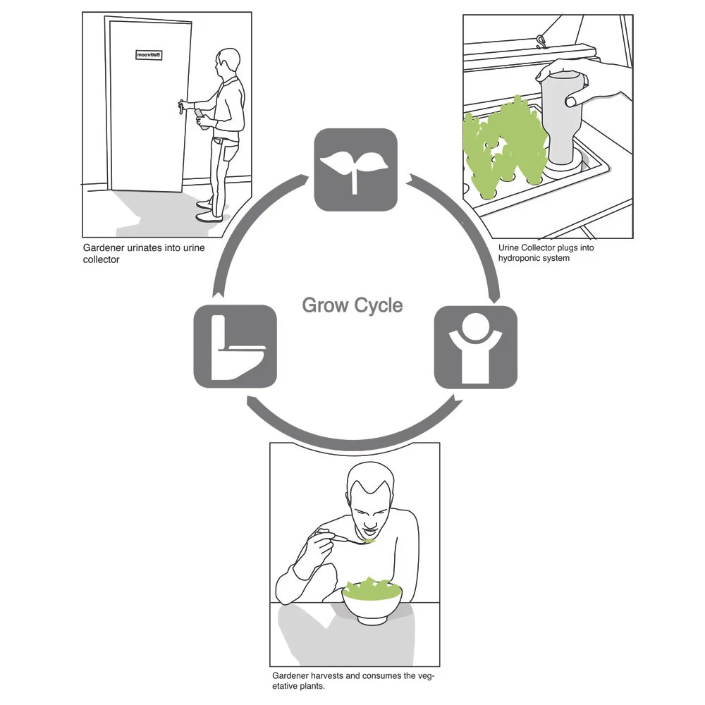 GrowCycle_Diagram.jpg