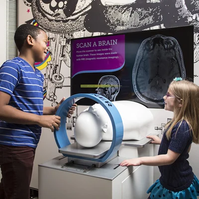 Scan A Brain
